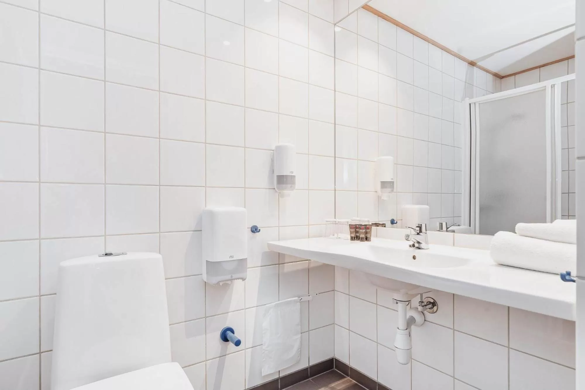 Bathroom in Frich's Hotell og Spiseri Alvdal