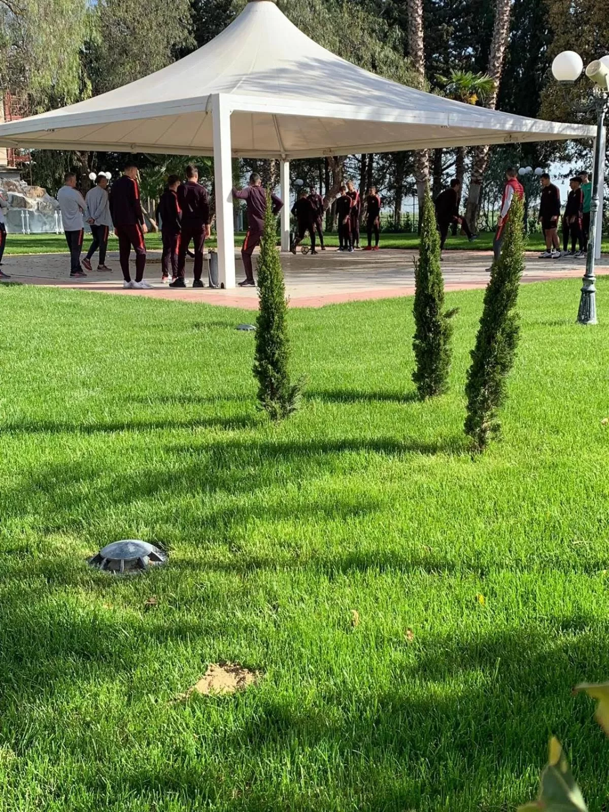 Garden in Hotel Holiday