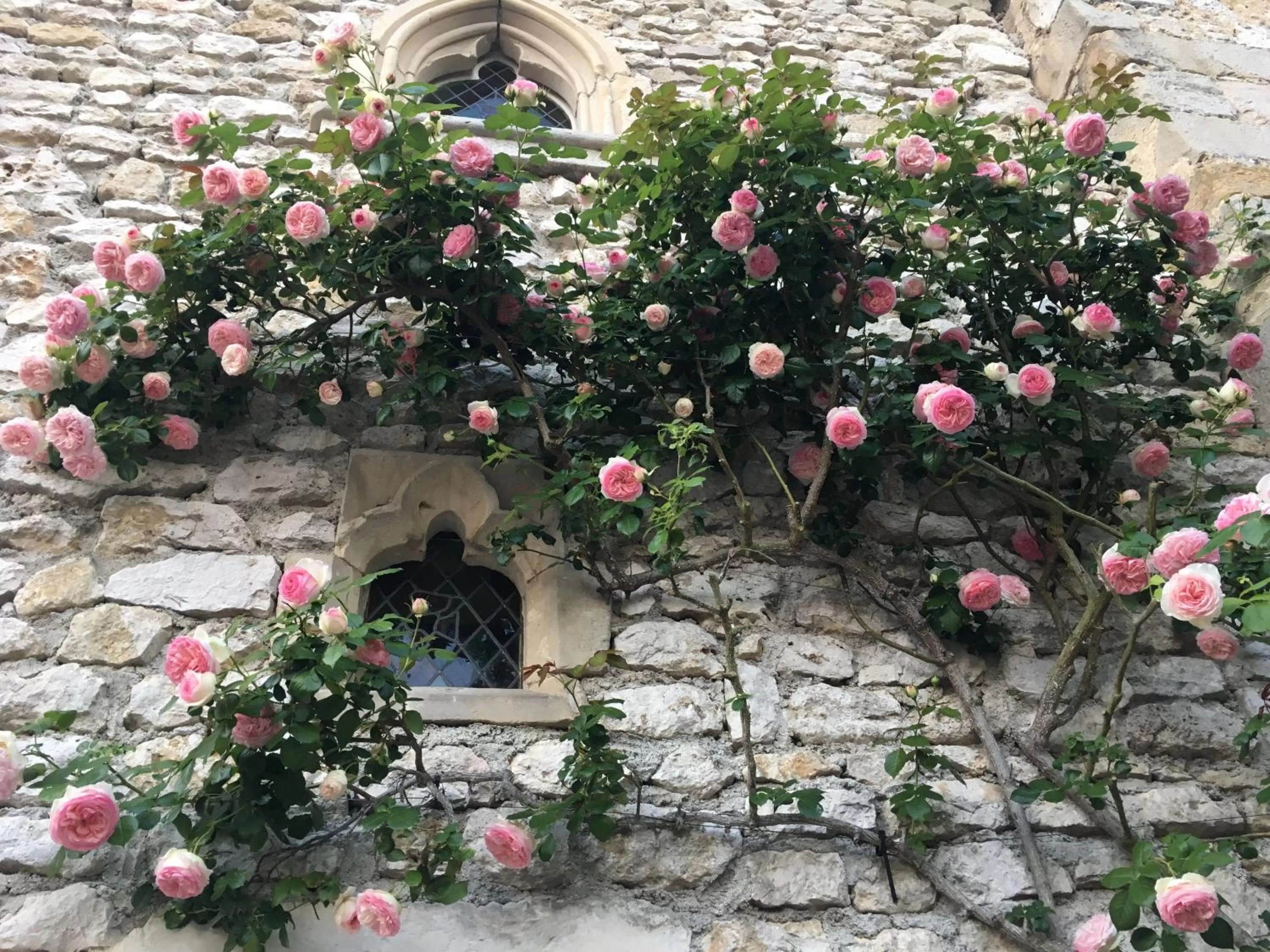 Garden in Demeure des Vieux Bains