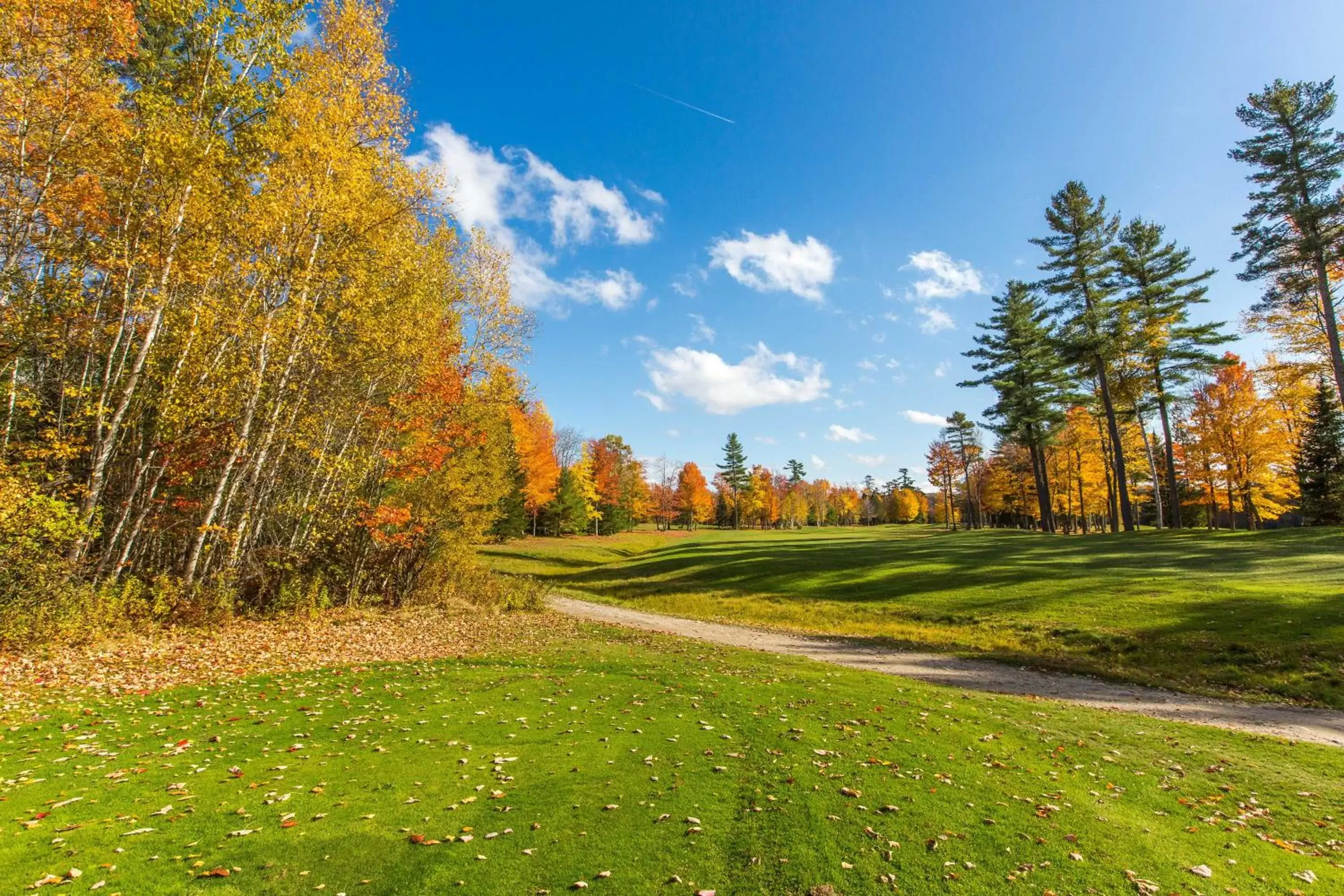 Golfcourse, Garden in The Bethel Resort & Suites