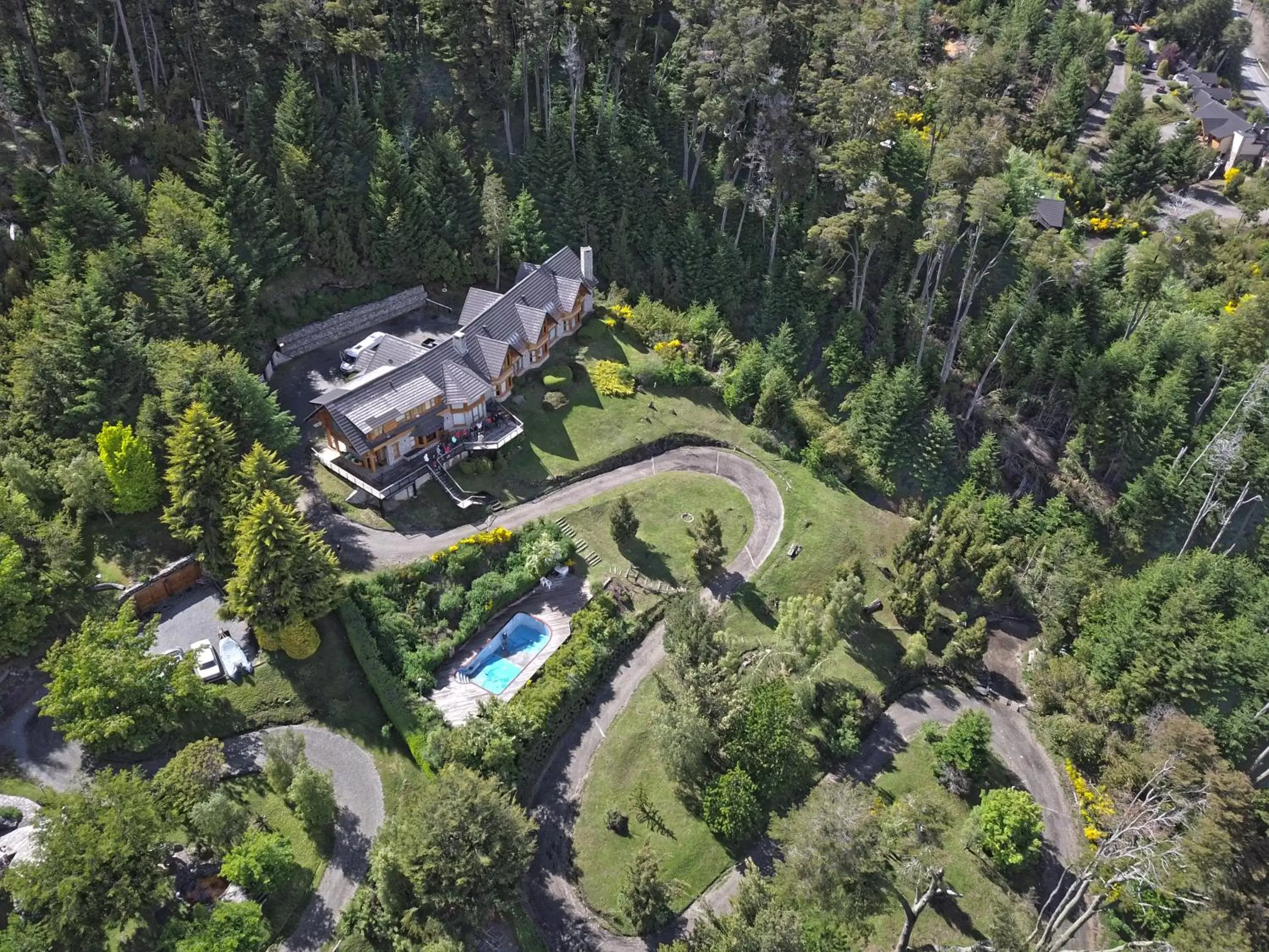 Bird's eye view, Bird's-eye View in Amigos del Bosque Bird's eye view, Bird's-eye View in Amigos del Bosque