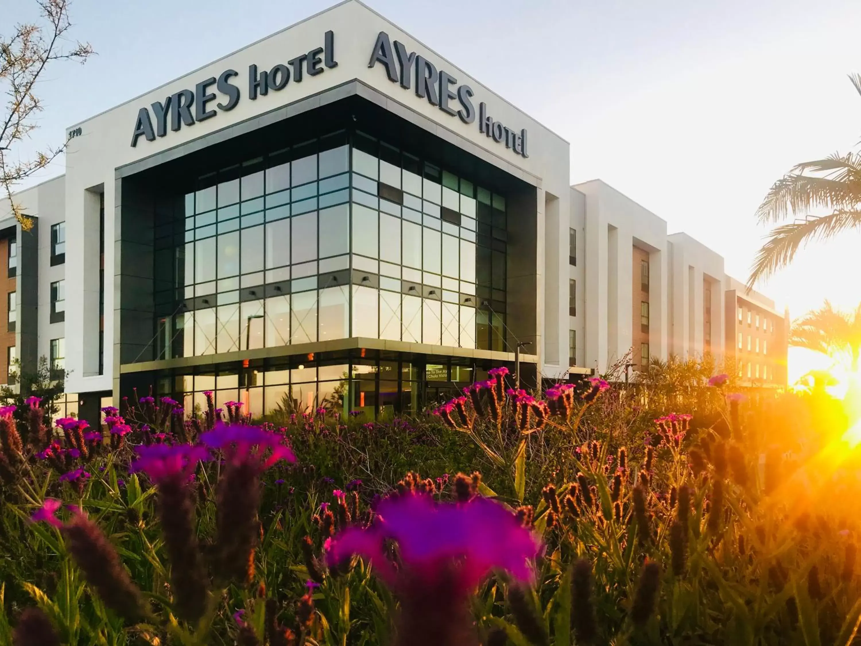 Property building in Ayres Hotel San Diego South - Chula Vista Property building in Ayres Hotel San Diego South - Chula Vista