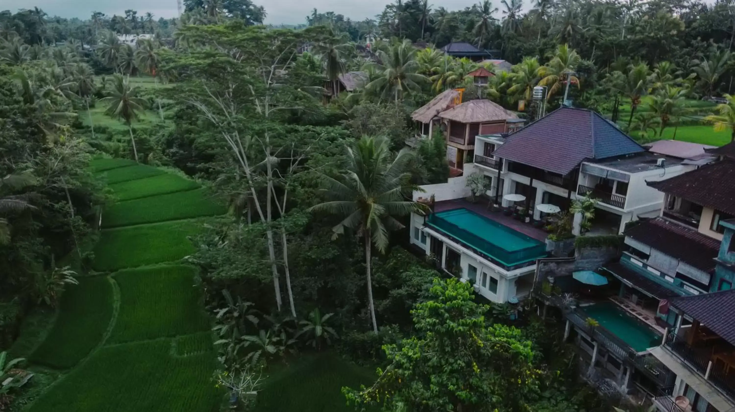 Decorative detail, Bird's-eye View in River Sakti Ubud by Prasi