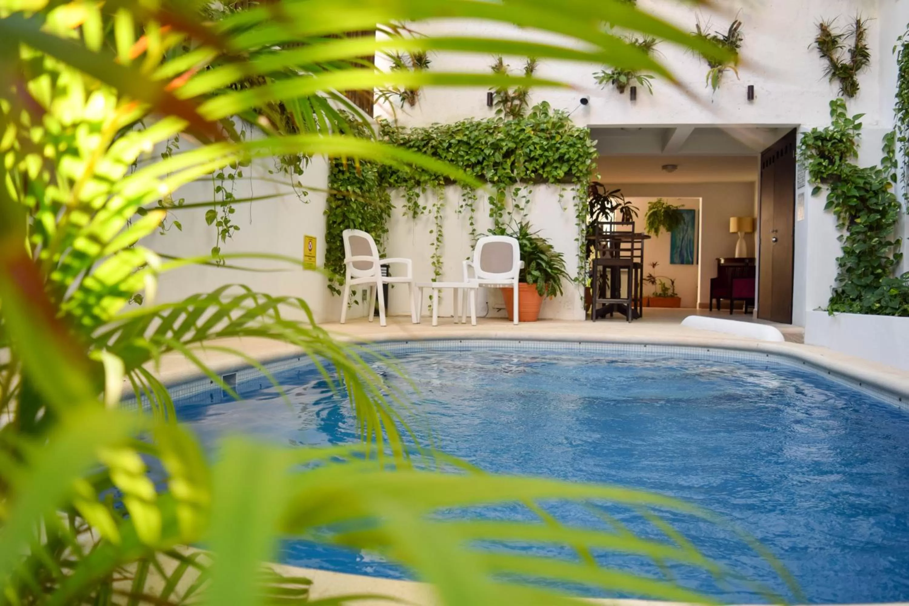 Swimming Pool in Casa Ticul Hotel Boutique - 5Th Ave by BFH