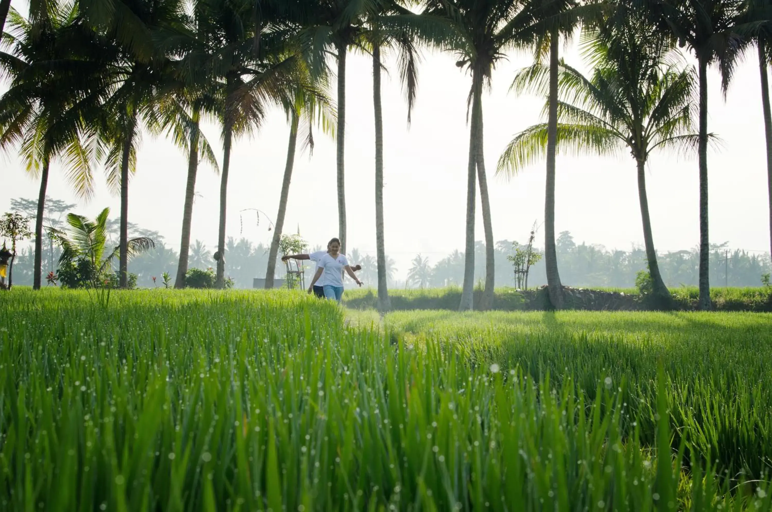 Area and facilities in Bhuwana Ubud Hotel and Farming