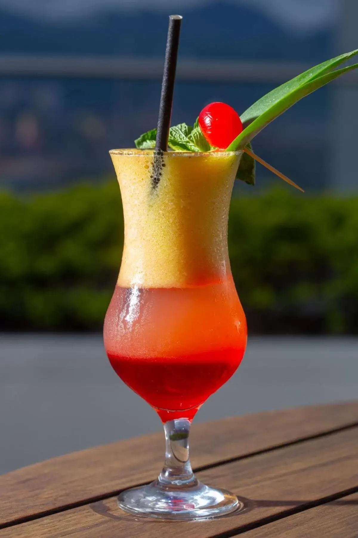 Restaurant/places to eat in Hotel San Fernando Plaza Restaurant/places to eat in Hotel San Fernando Plaza