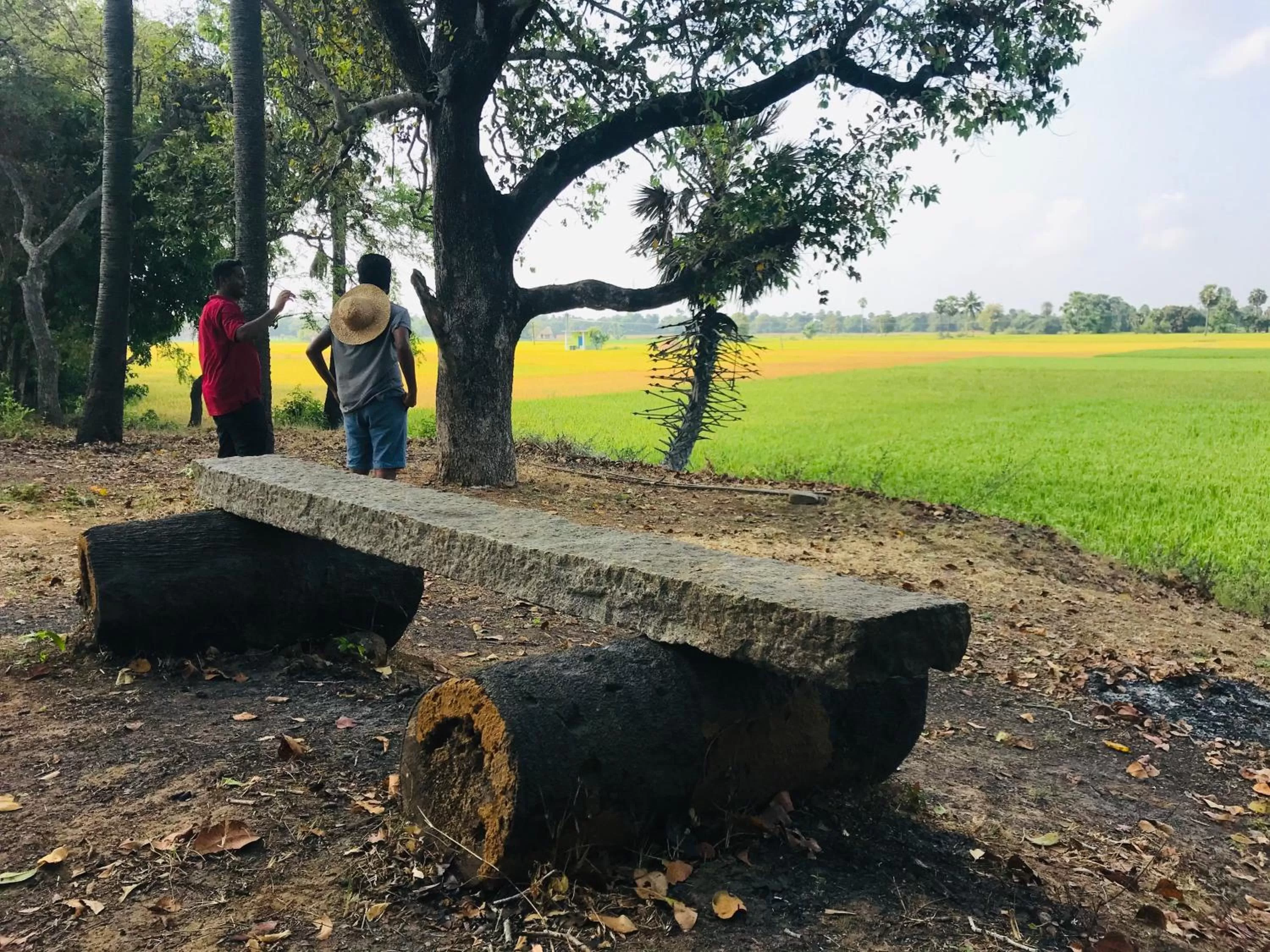 Activities in Marutham Village Resort