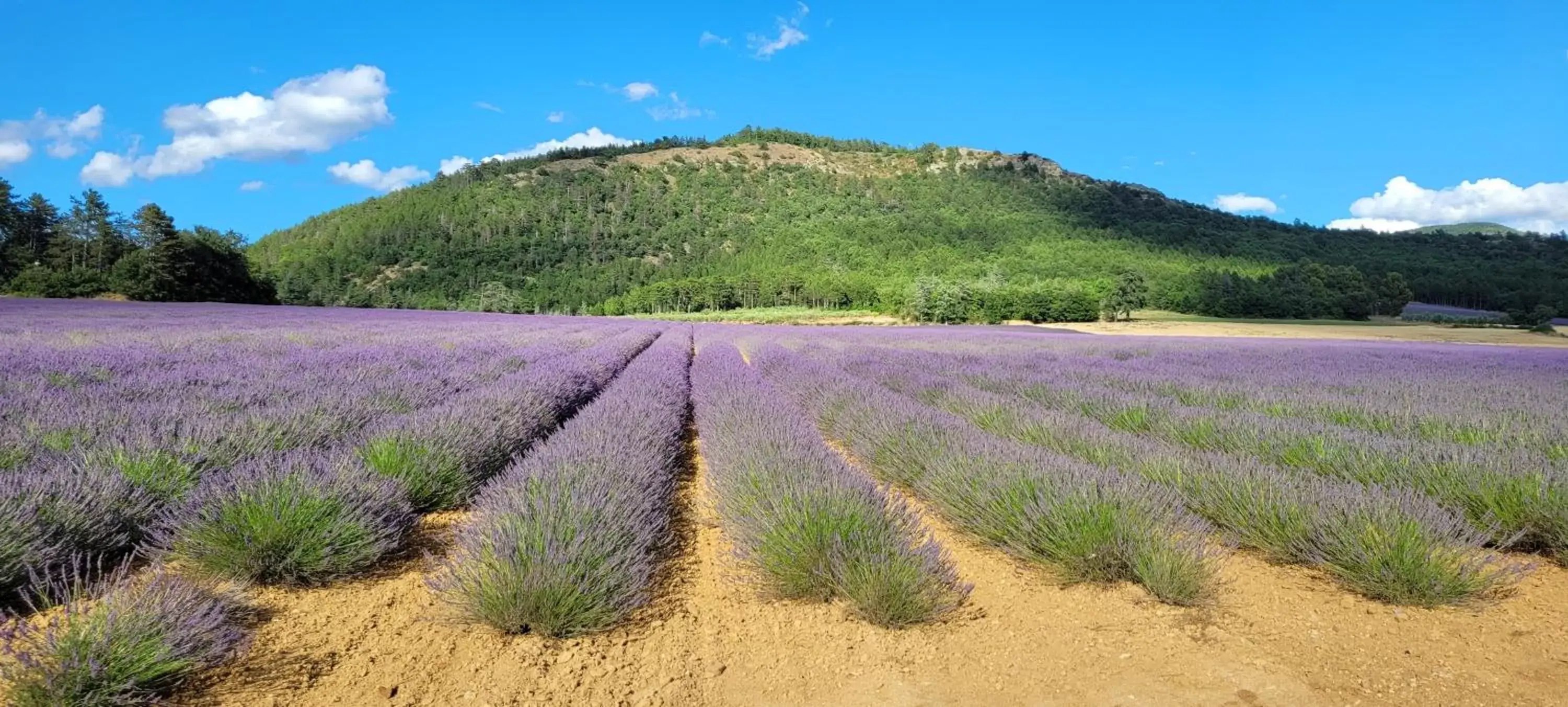 Natural Landscape in Le Jas de Volonne