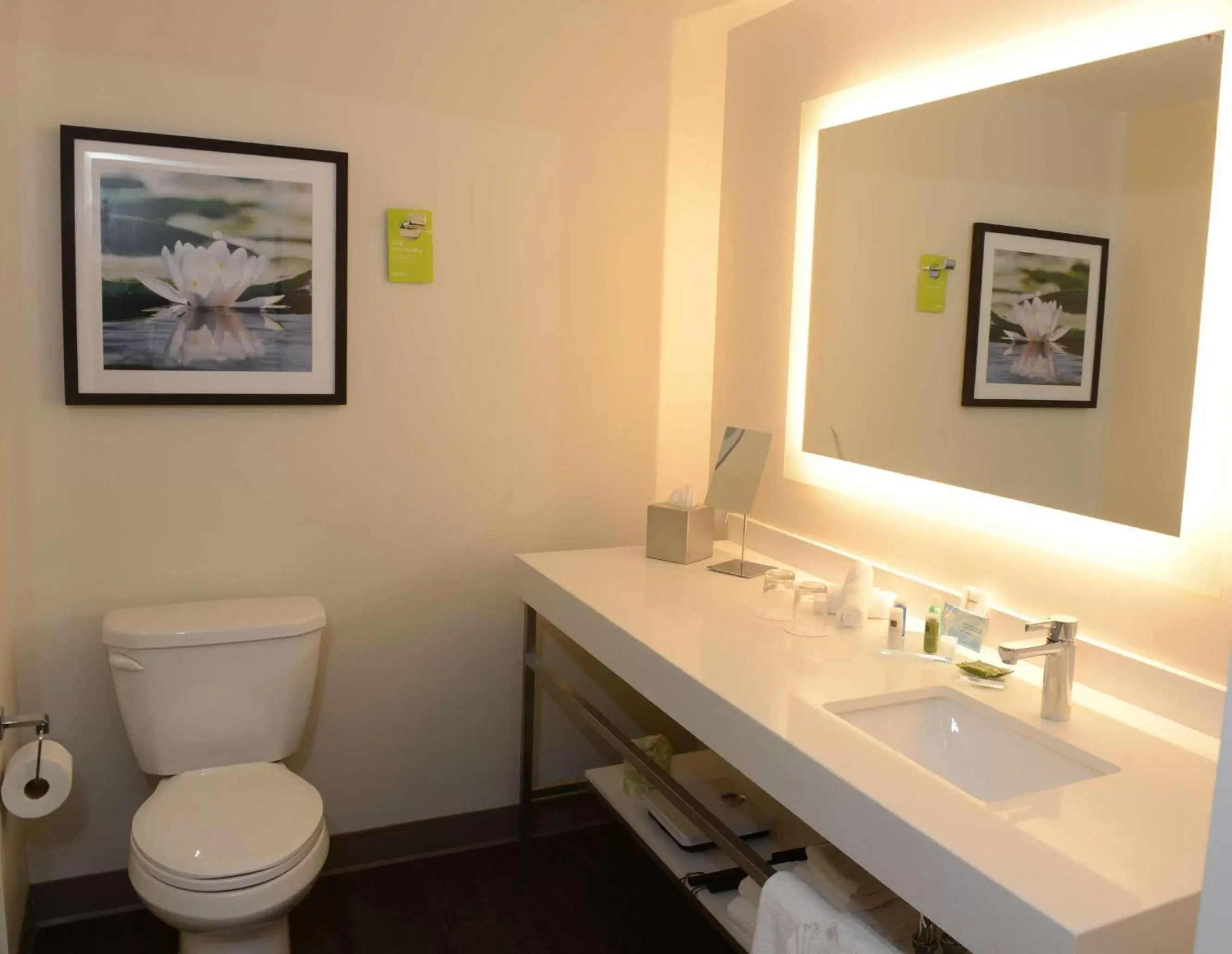 Bathroom in Radisson Kingswood Hotel & Suites, Fredericton