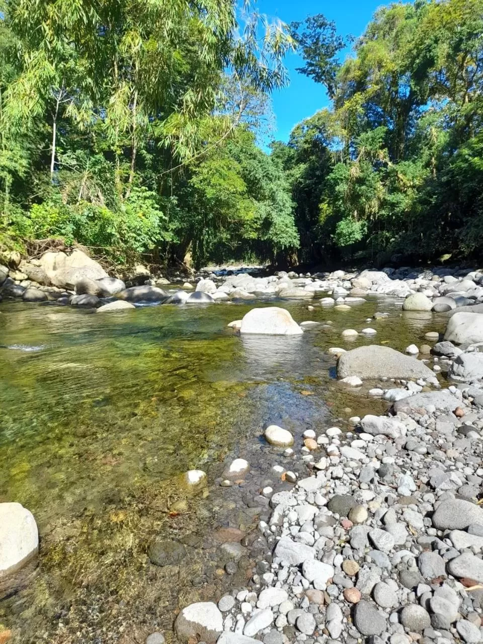 Staff in Centro Ananda
