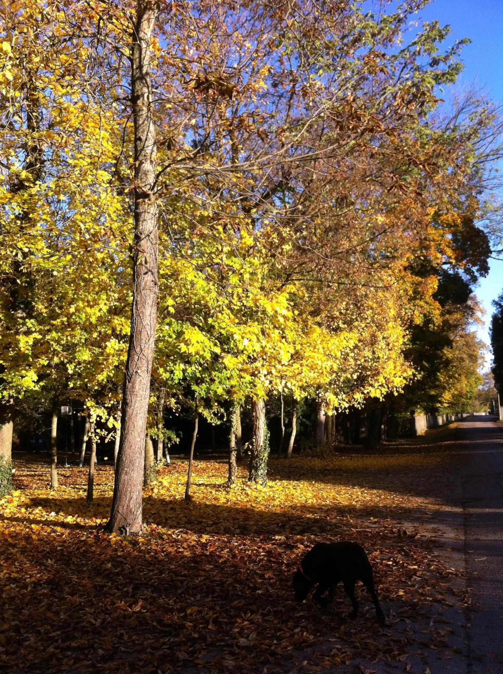 Hiking in Gasthof Teufl