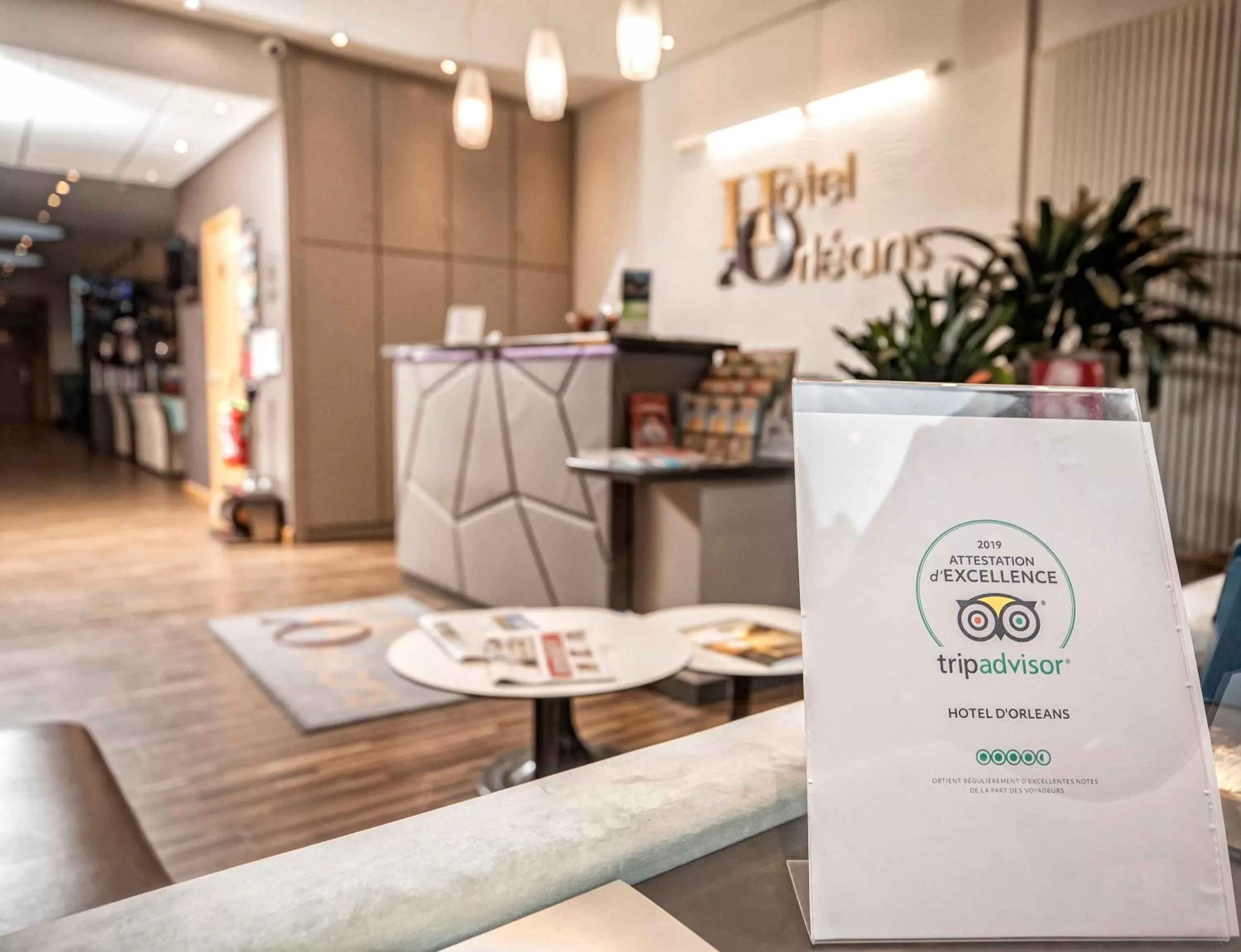 Lobby or reception in Hôtel d'Orléans