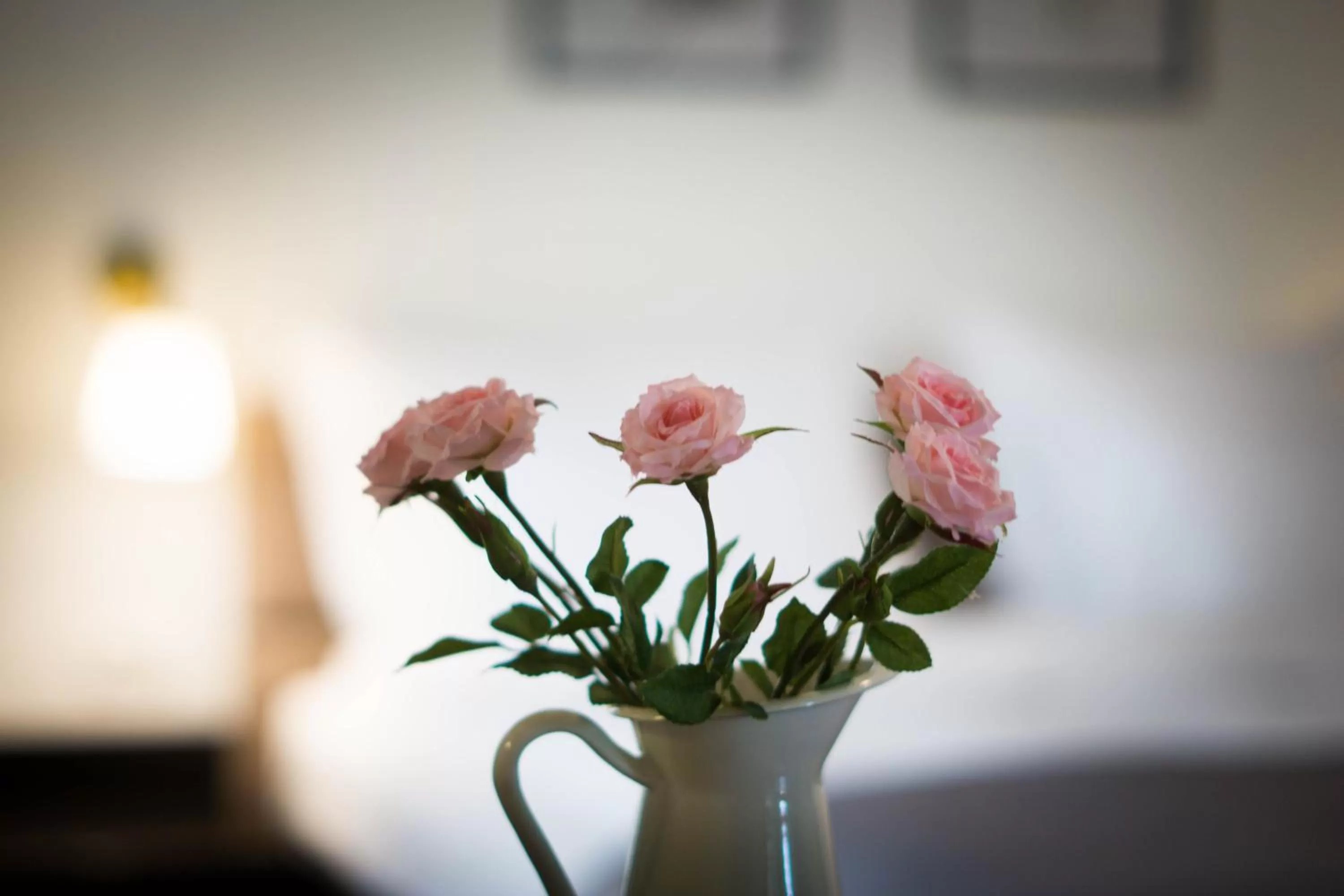 Photo of the whole room, Bed in Nest