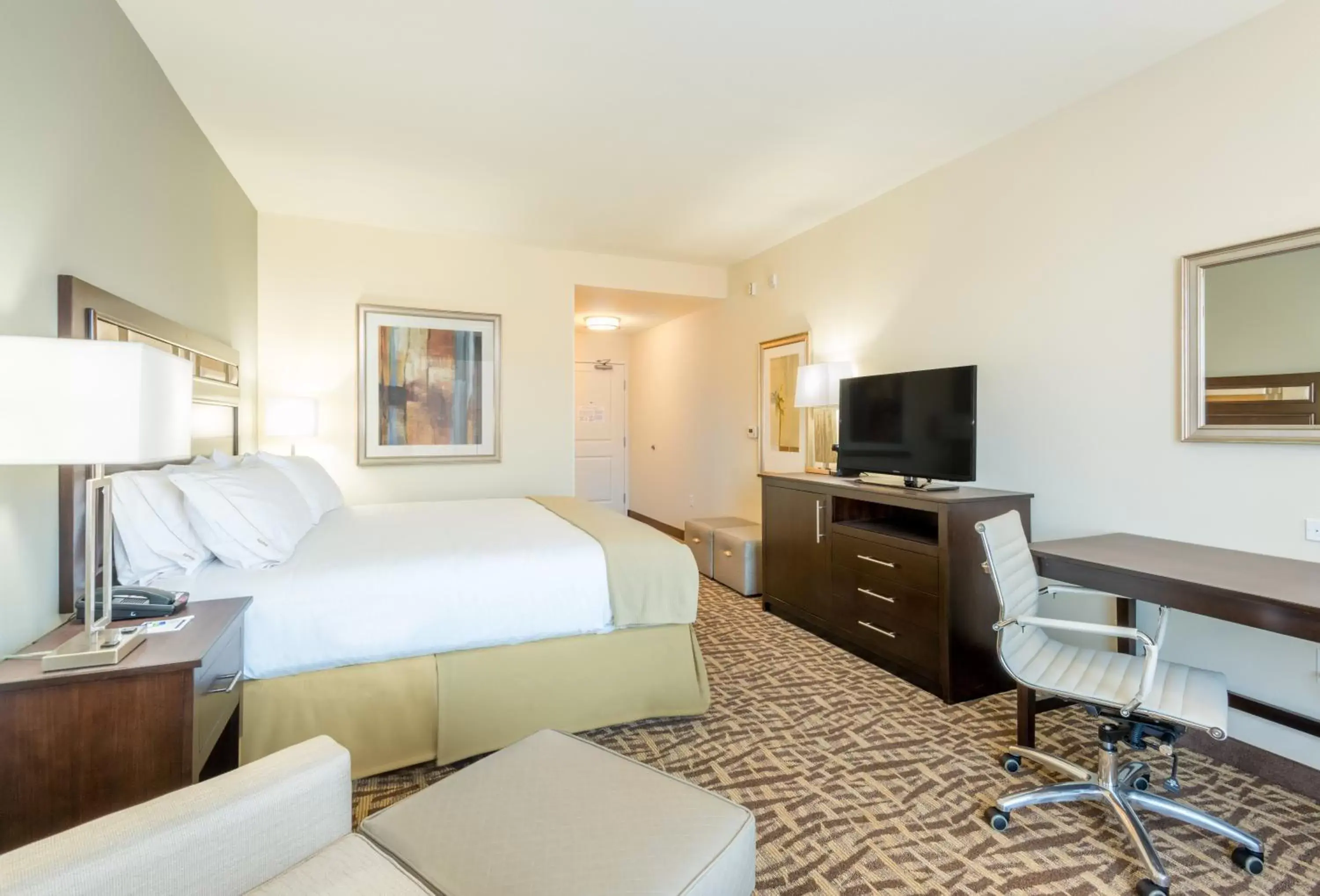 Photo of the whole room in Holiday Inn Express & Suites Denver South - Castle Rock, an IHG Hotel