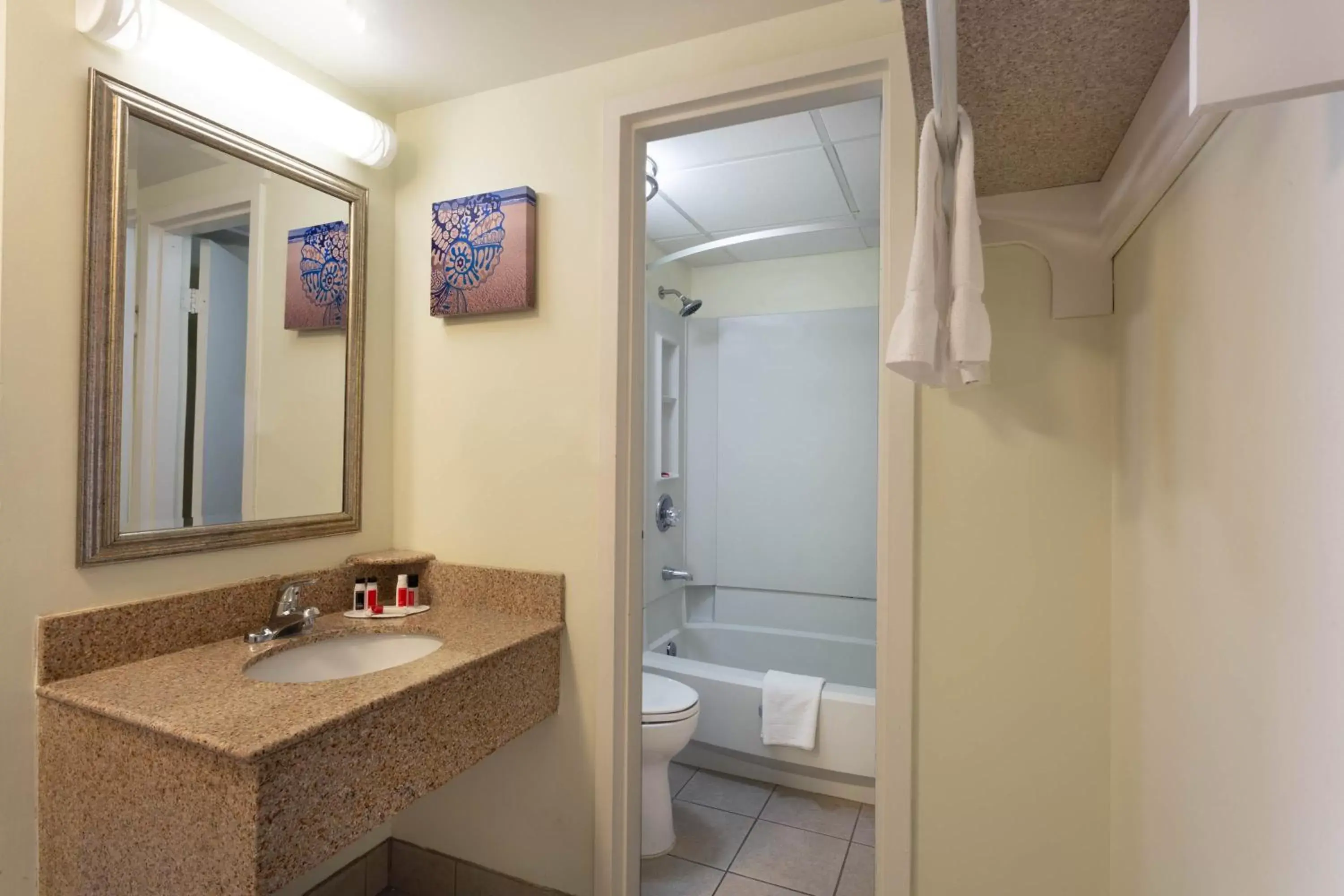 Bathroom in Ramada Plaza by Wyndham Virginia Beach