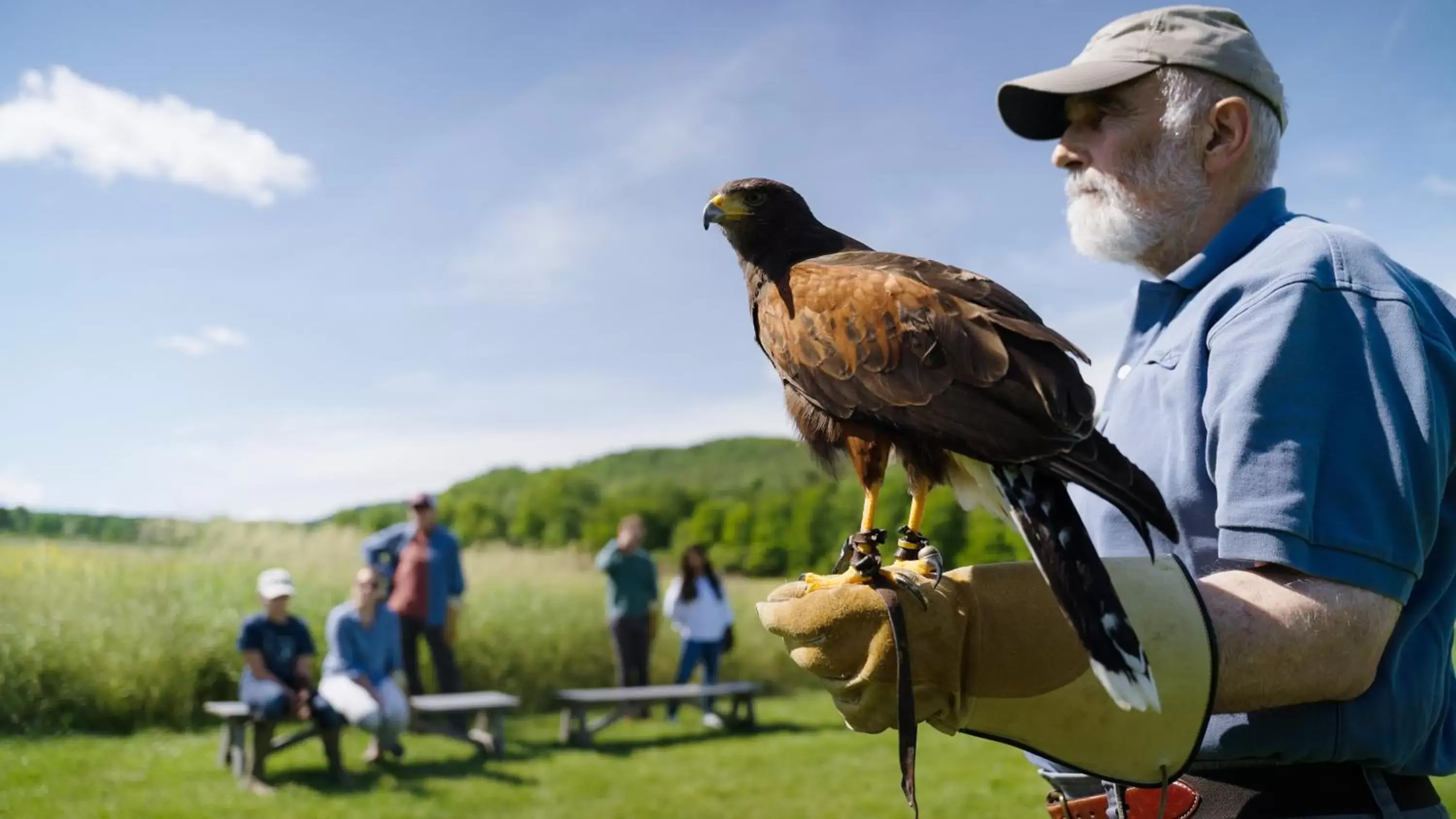 Nearby landmark, Other Animals in Woodstock Inn & Resort