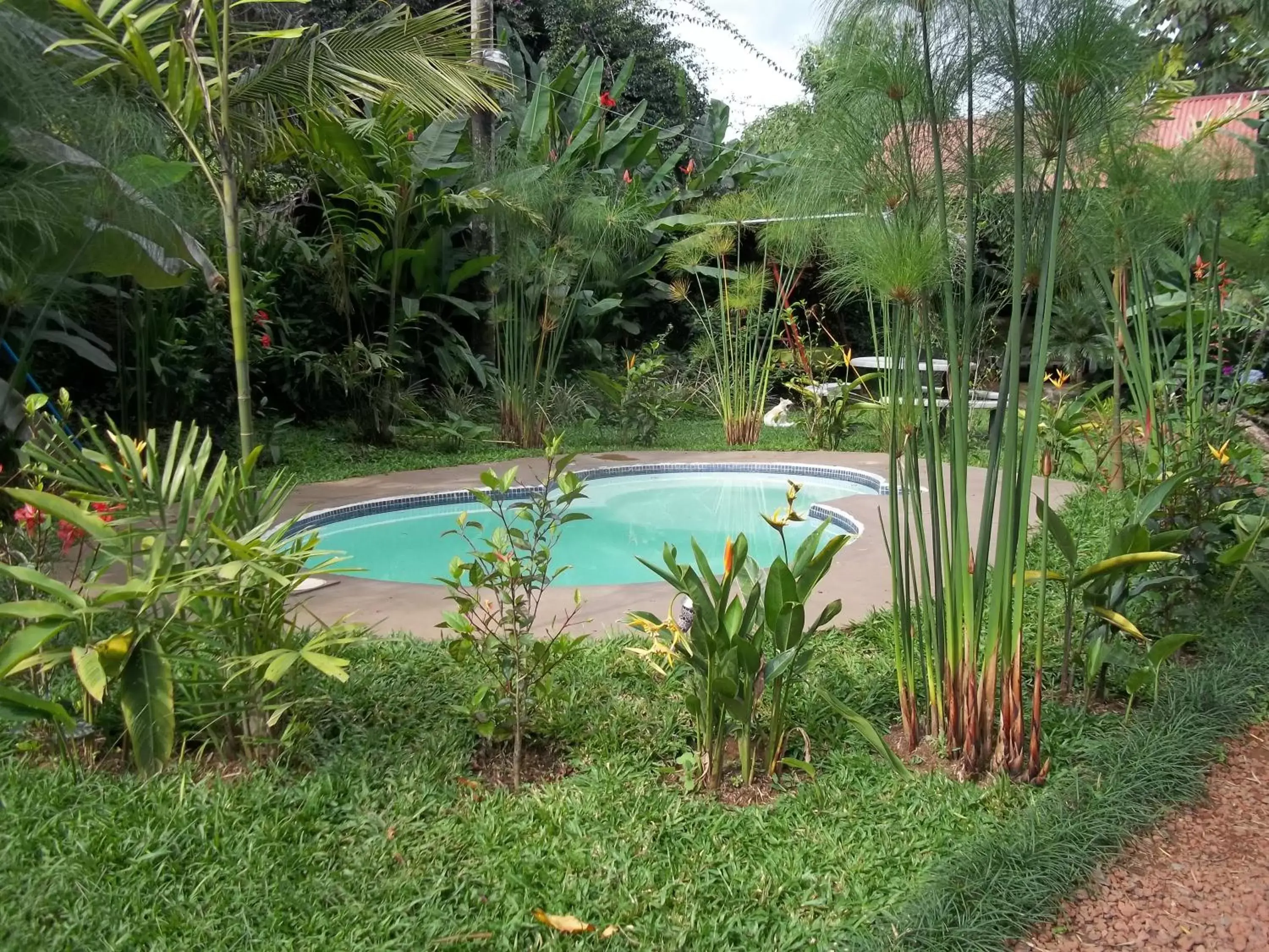 Swimming Pool in Villa Pacande Bed and FreeBreakfast