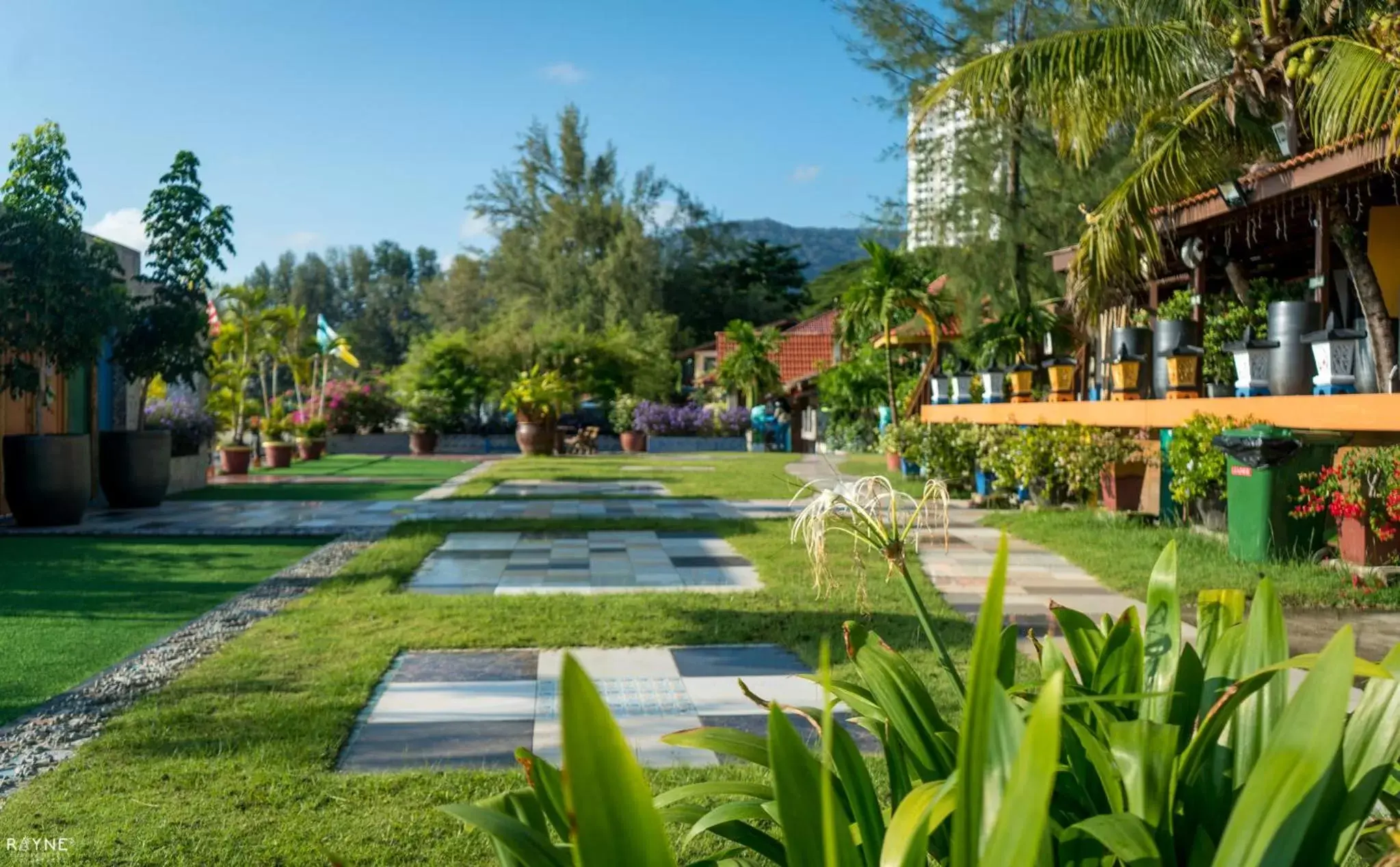Garden, Swimming Pool in Lost Paradise Resort