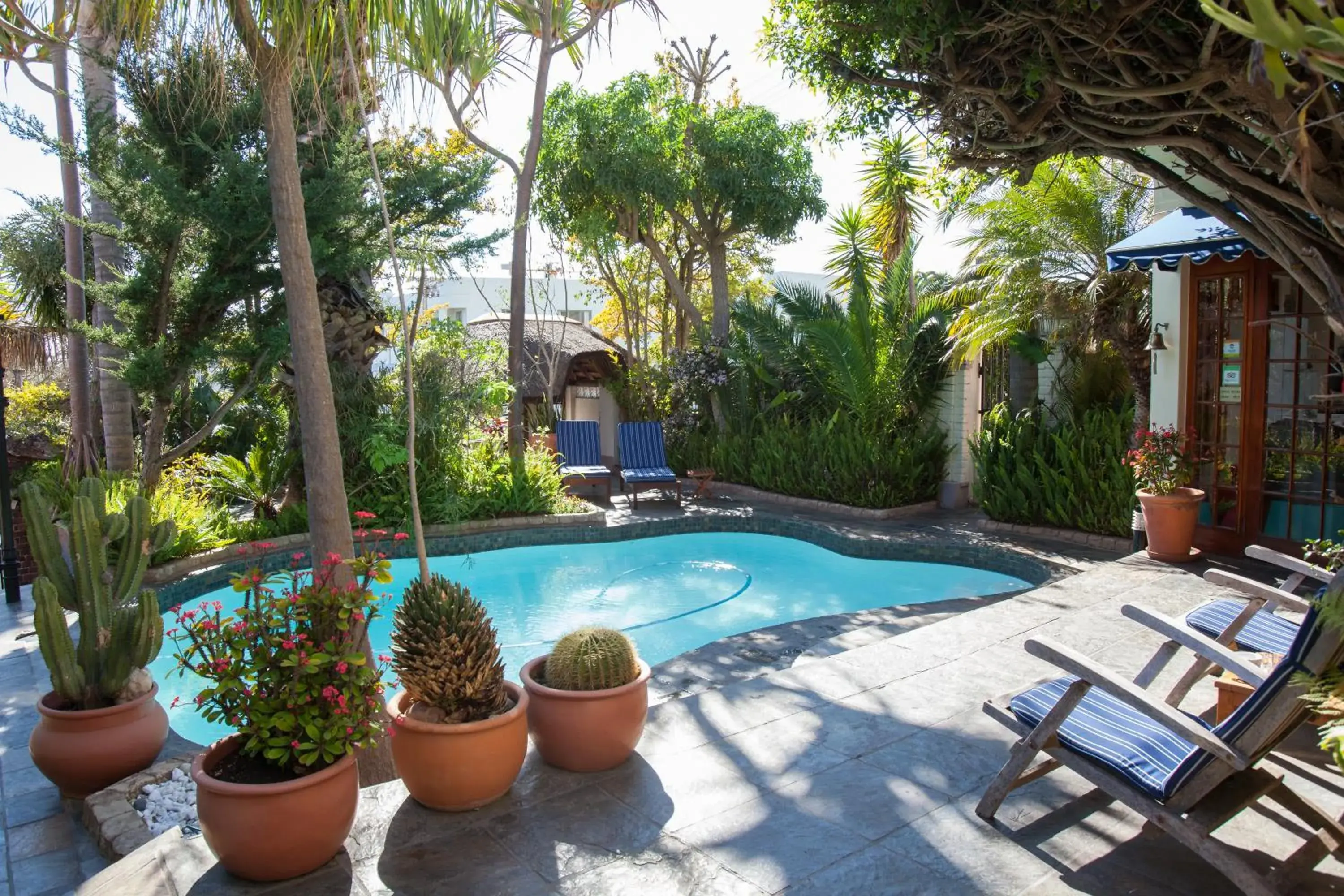 Patio, Swimming Pool in Brenwin Guest House