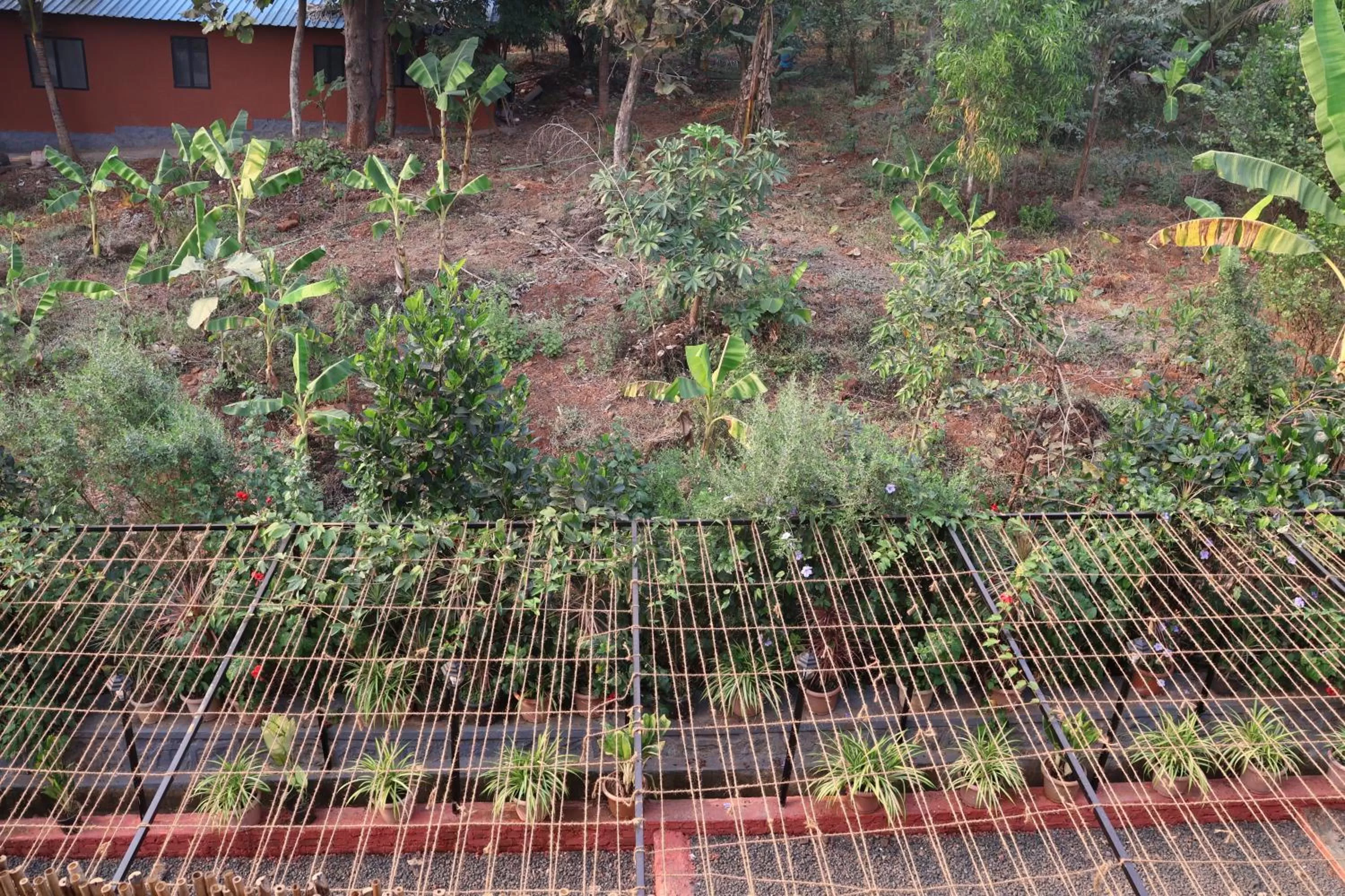 Natural landscape in Saveda Farm & Cottages