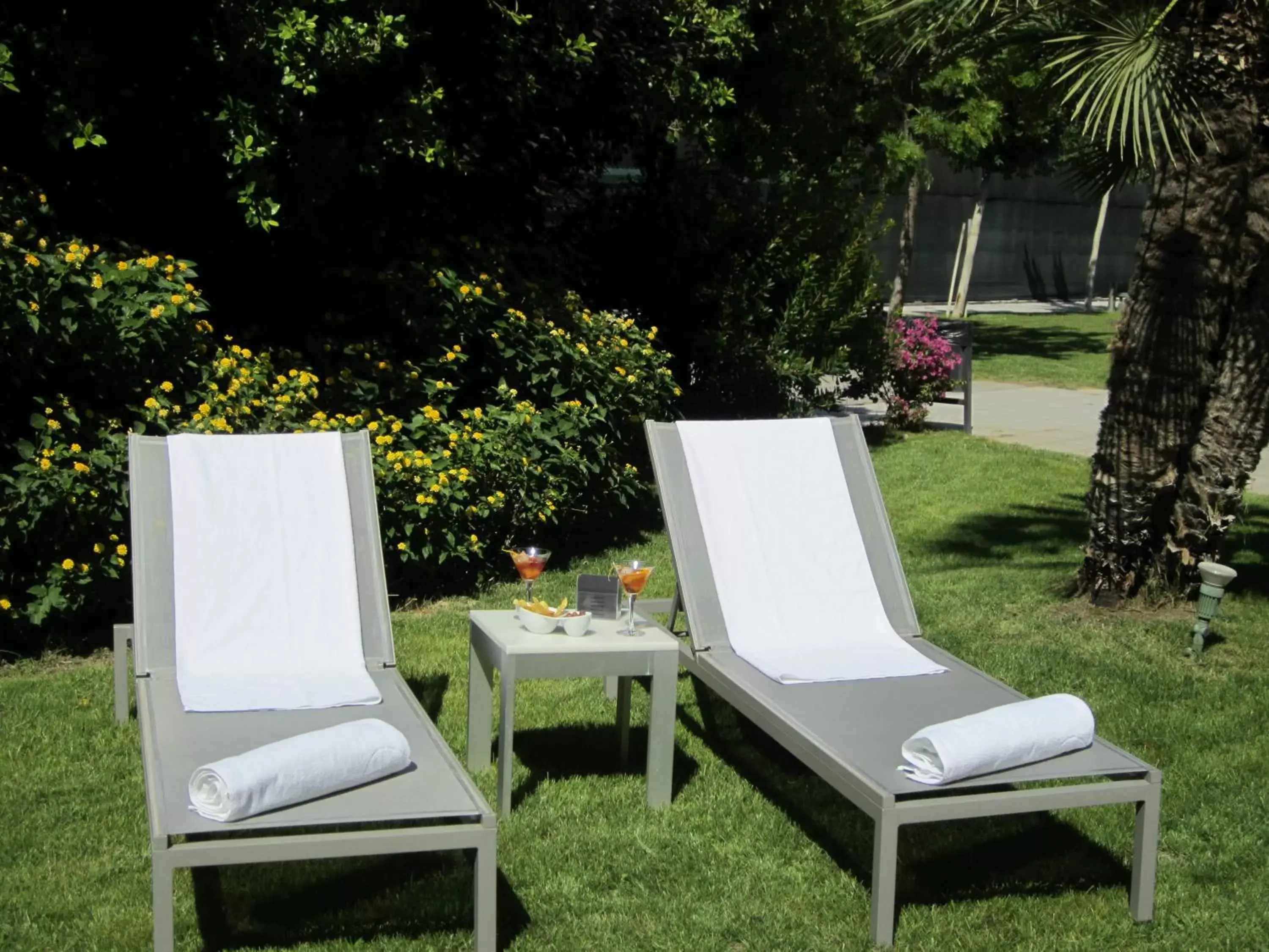 Swimming pool, Garden in Primus Valencia