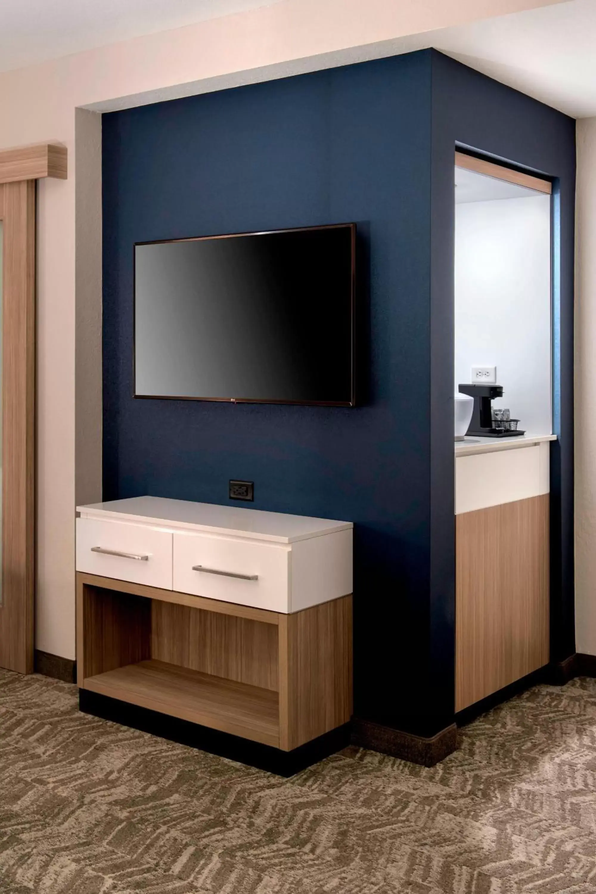 Bedroom, TV/Entertainment Center in SpringHill Suites by Marriott Tampa Suncoast Parkway