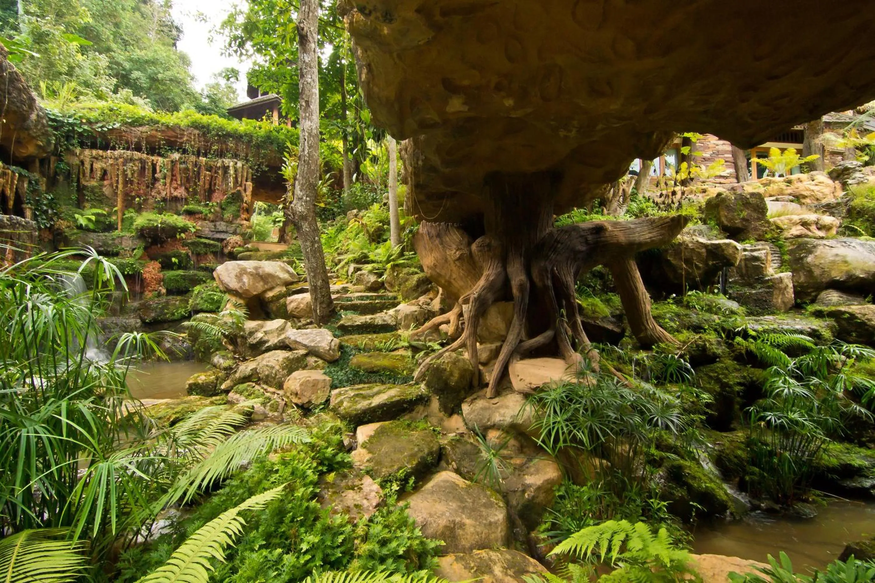 Area and facilities in Panviman Chiang Mai Spa Resort