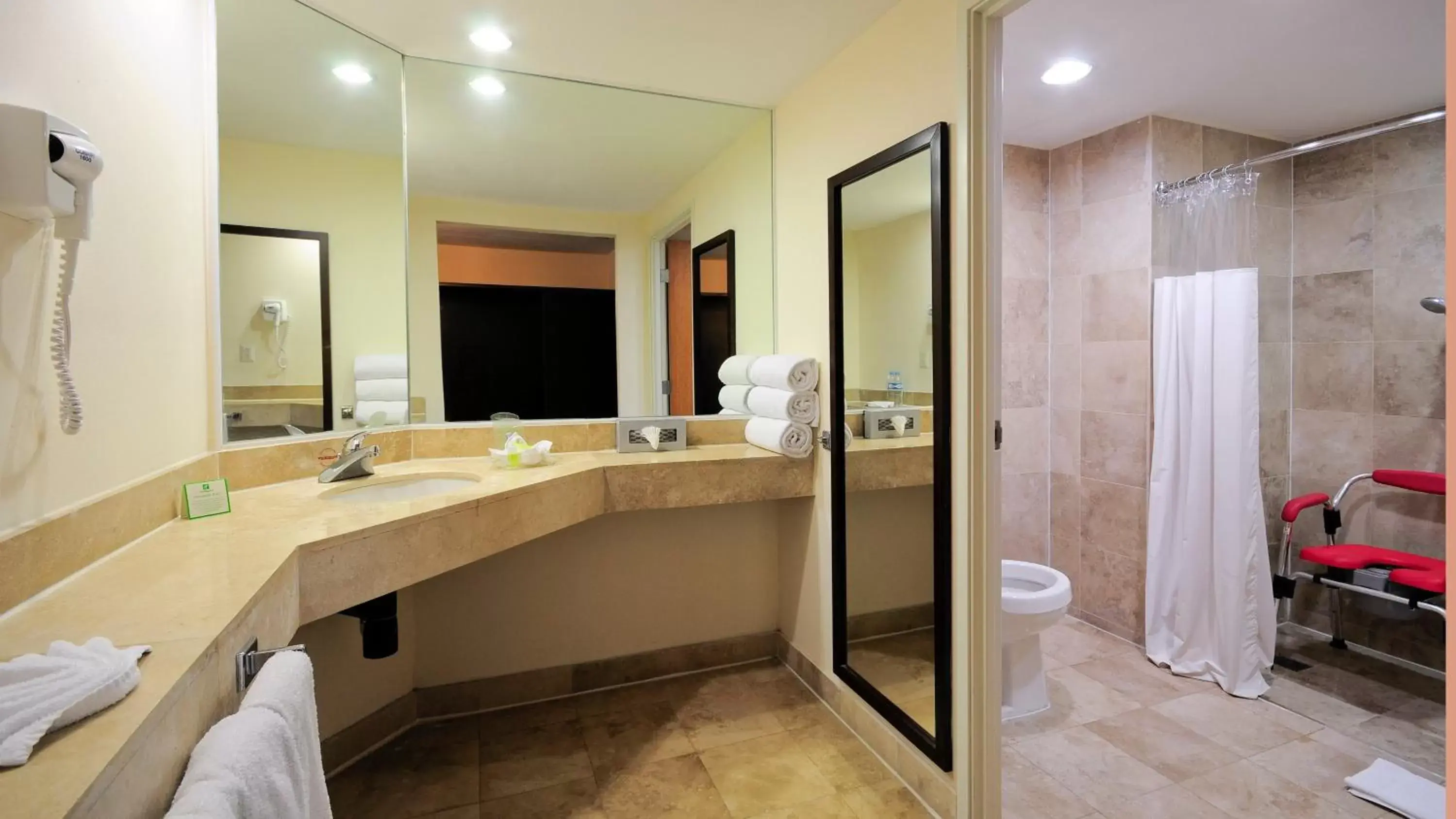 Photo of the whole room, Bathroom in Holiday Inn Uruapan, an IHG Hotel