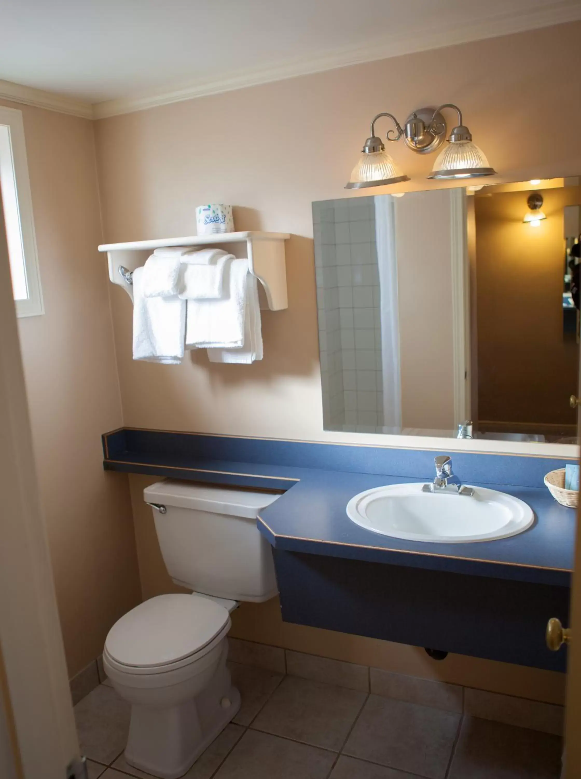 Bathroom in Revelstoke Lodge