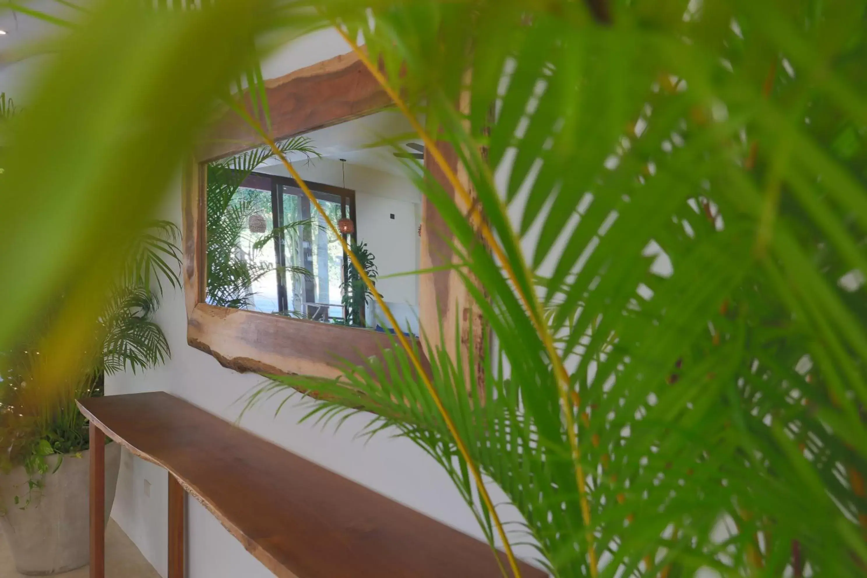 Lobby or reception in Hotel Blanco Tulum