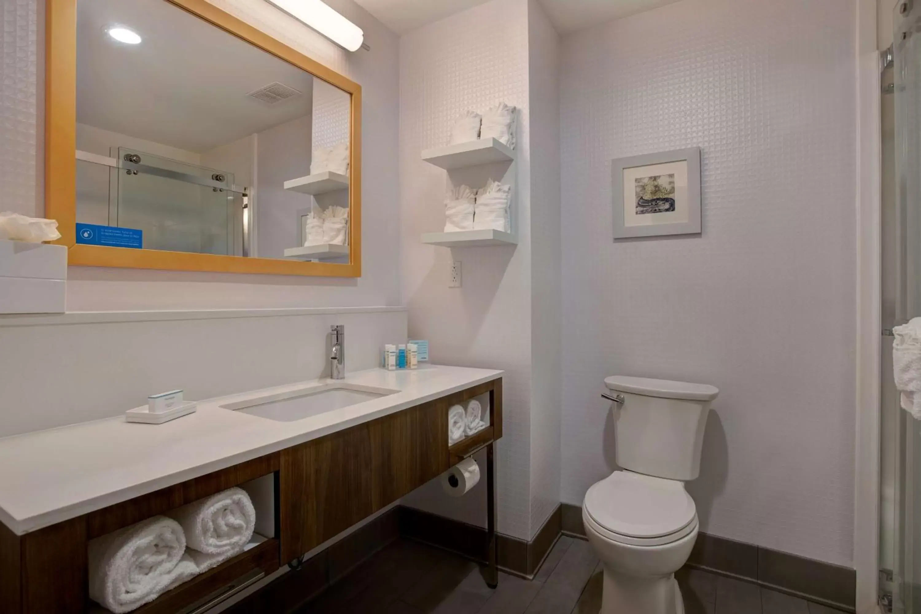Bathroom in Hampton Inn Olive Branch