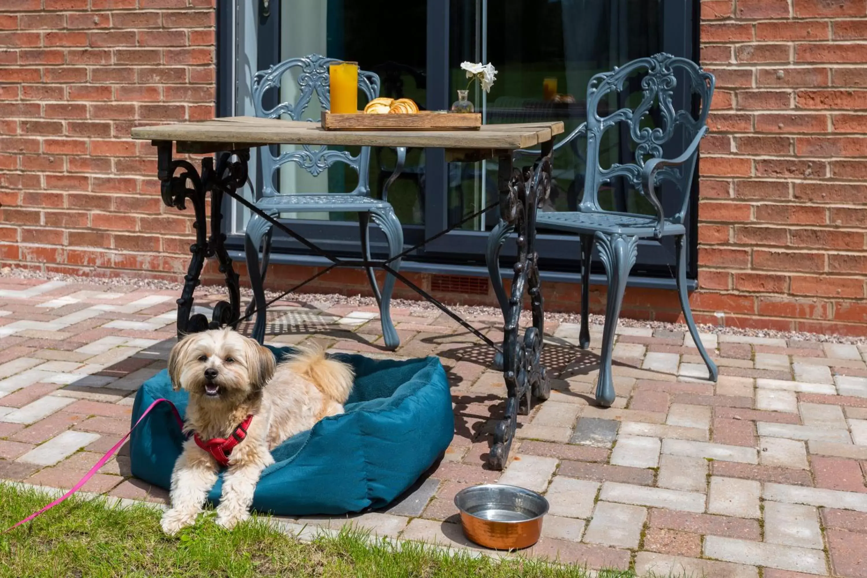 Patio, Pets in The Stratford Park Hotel & Golf Club