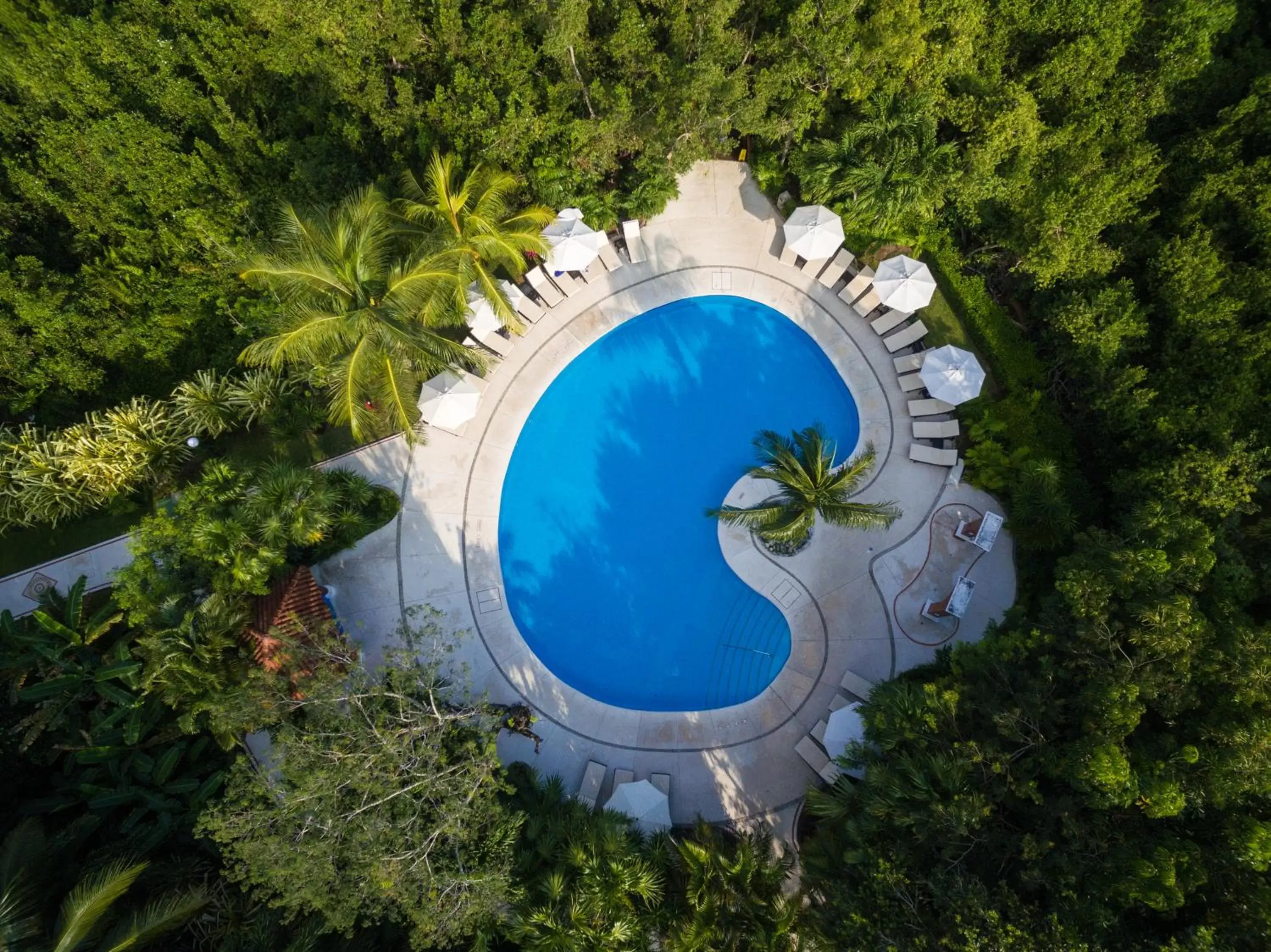 Bird's eye view, Swimming Pool in Occidental Cozumel - All Inclusive