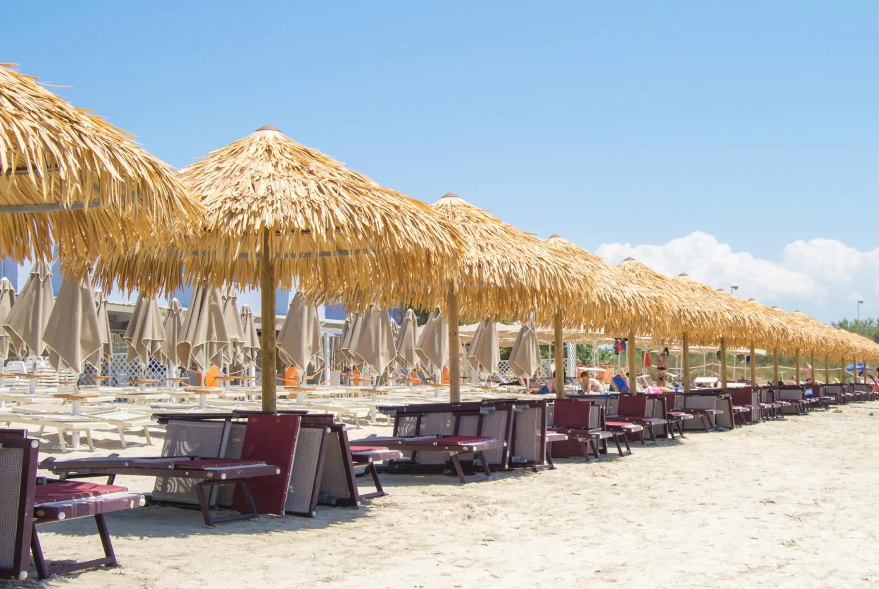 Beach in Conchiglia Azzurra Hotel & Beach