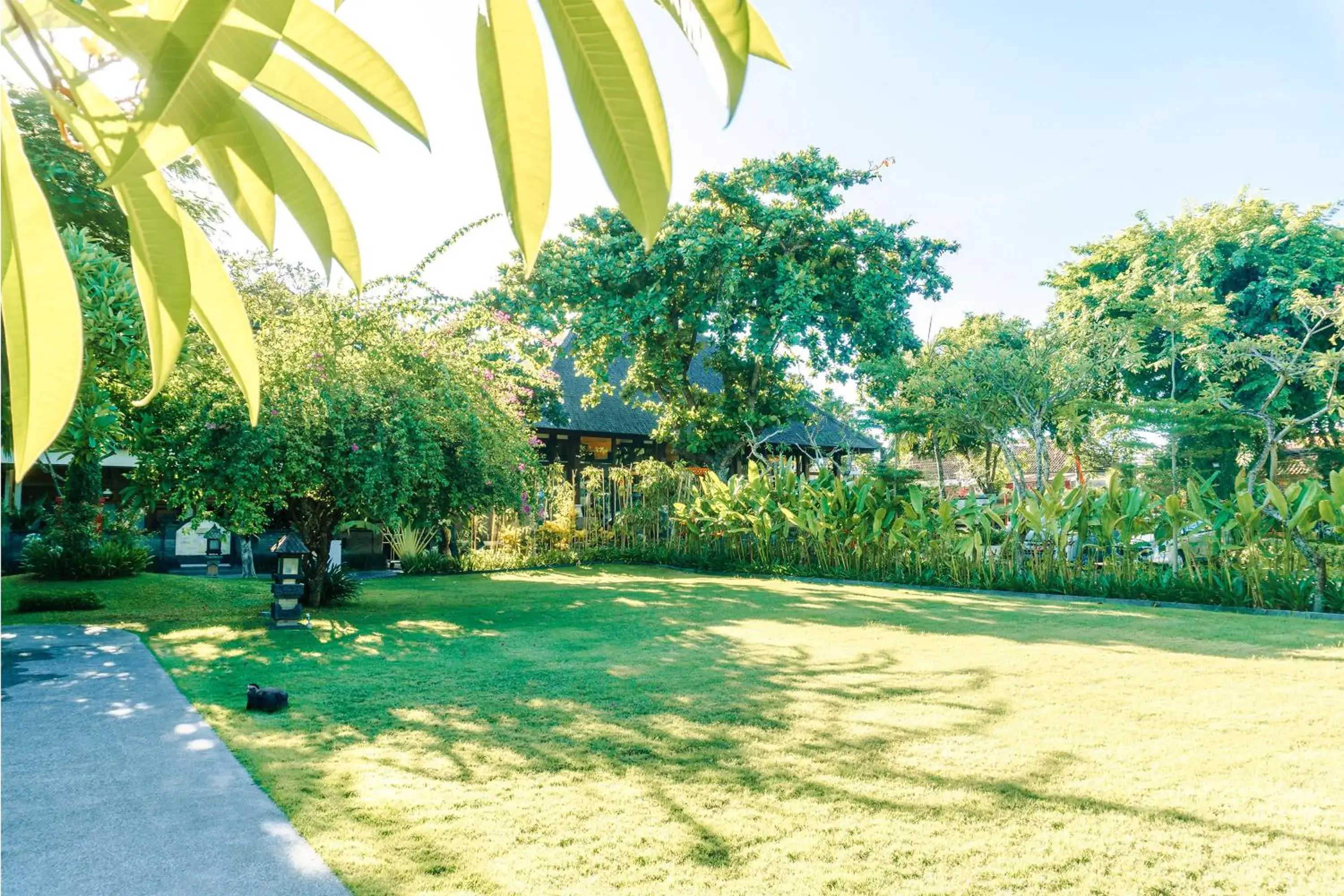 Garden view, Garden in Rama Beach Resort And Villas