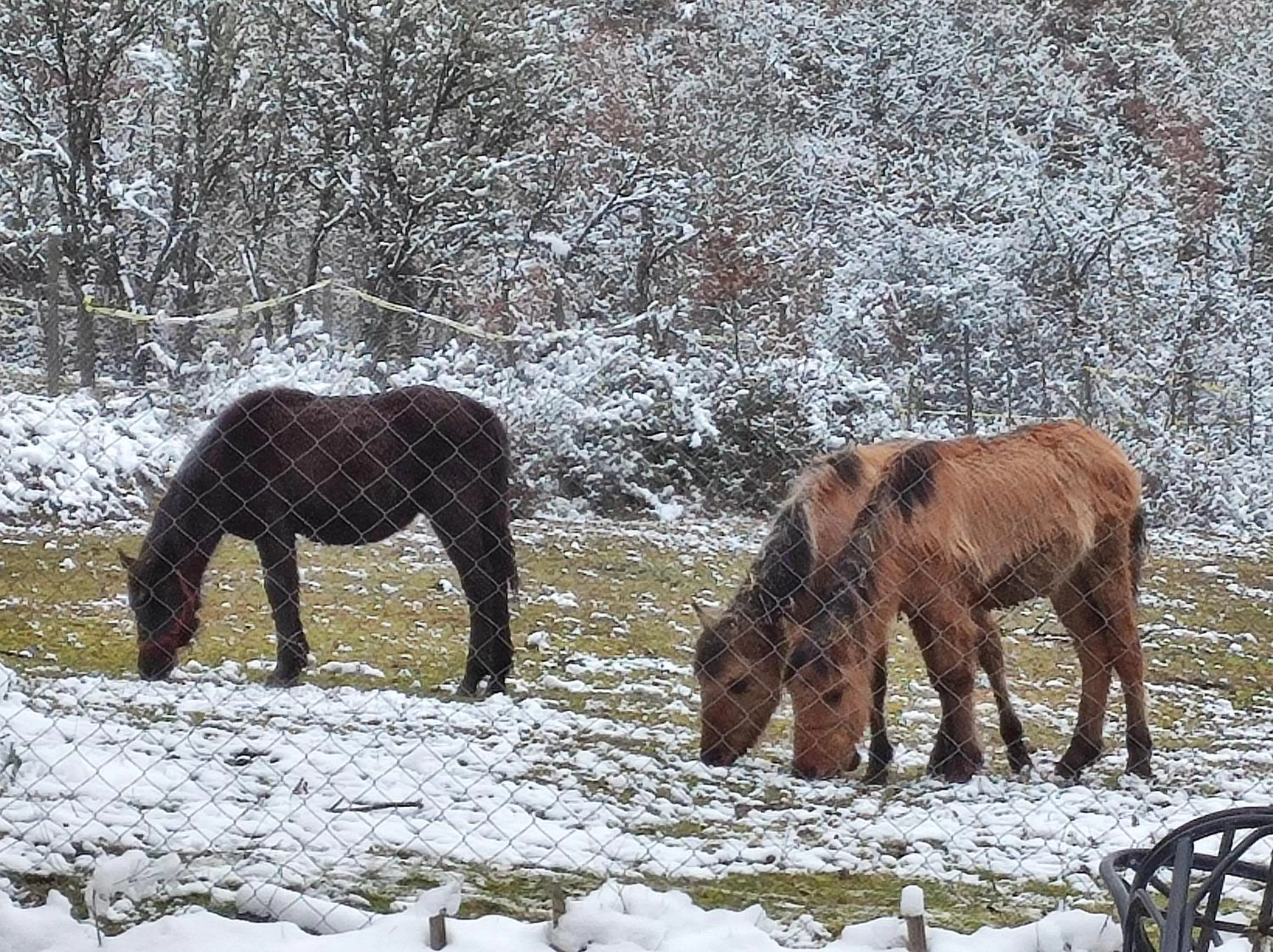 Etno selo Vile Jefimija, selo Preobrazenje, Vranje