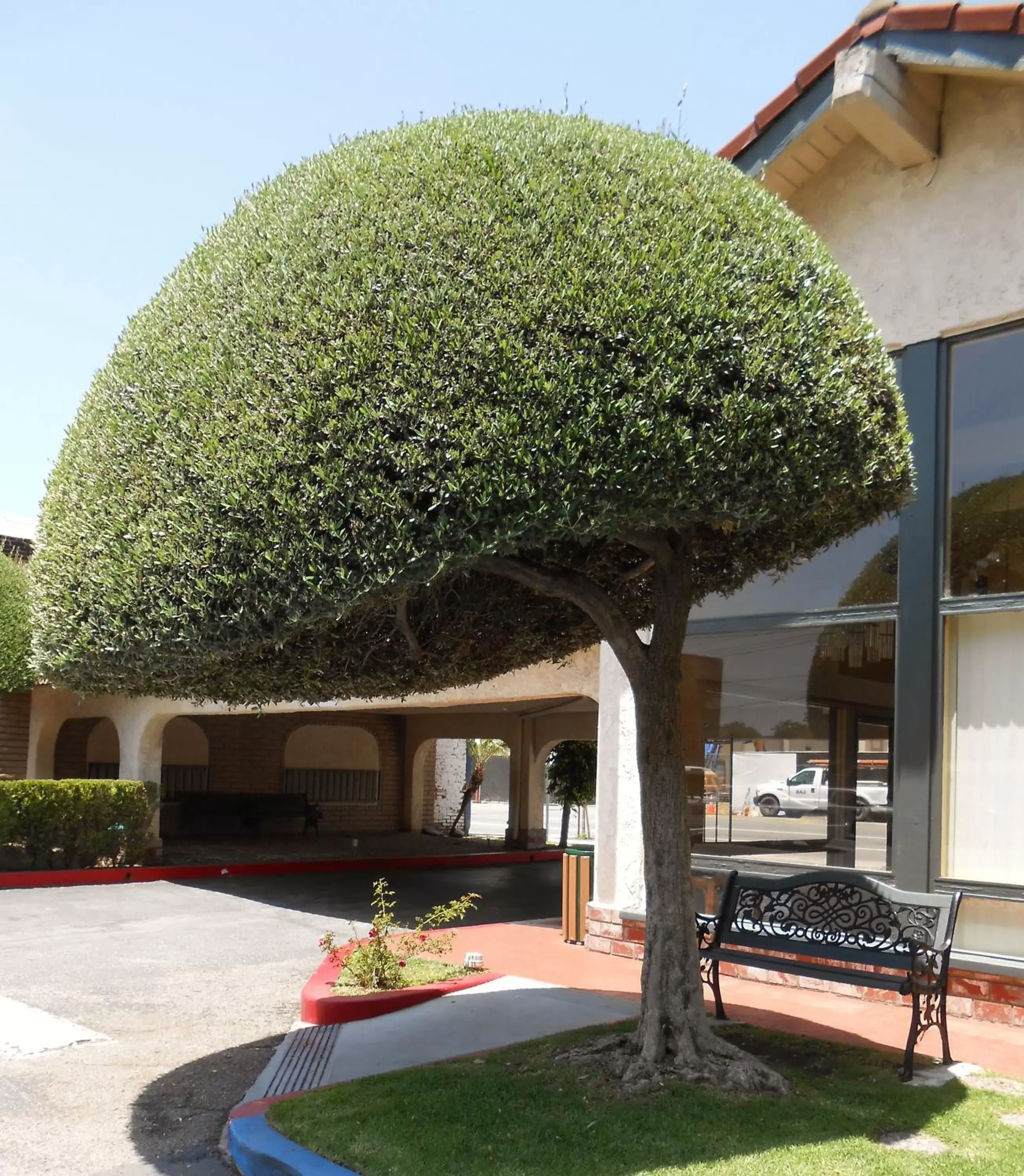 Facade/entrance, Property Building in Vagabond Inn Glendale