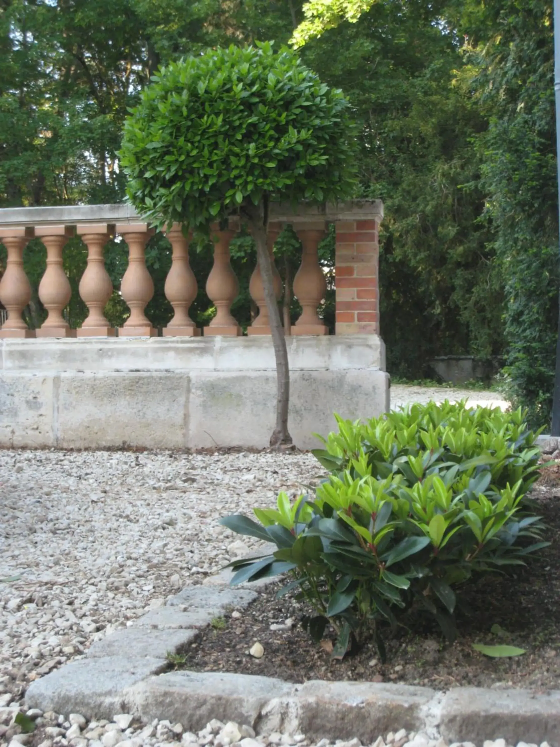 Patio in Hôtel Les Maréchaux