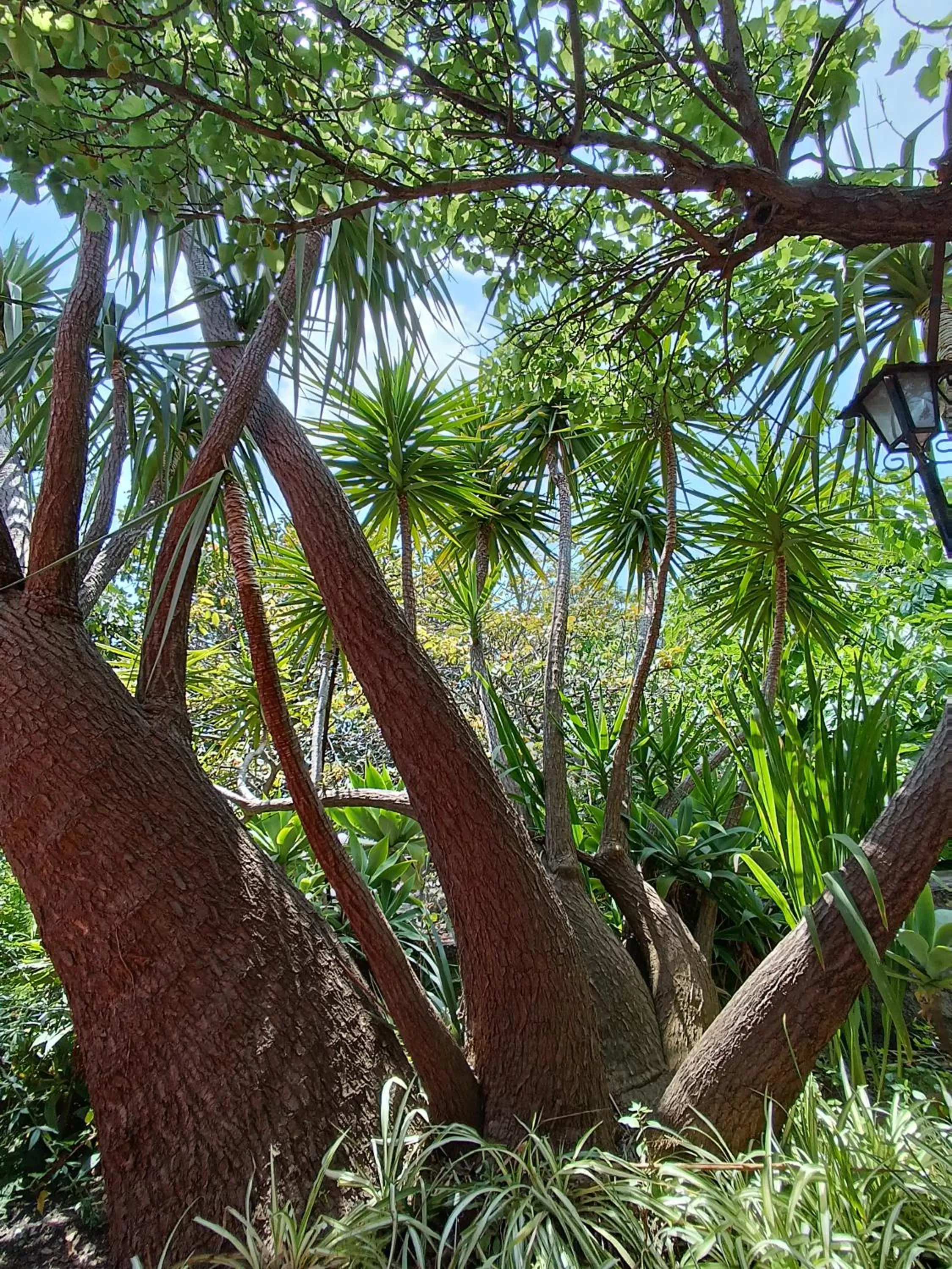 Balcony/Terrace in B&B Villa Lidia