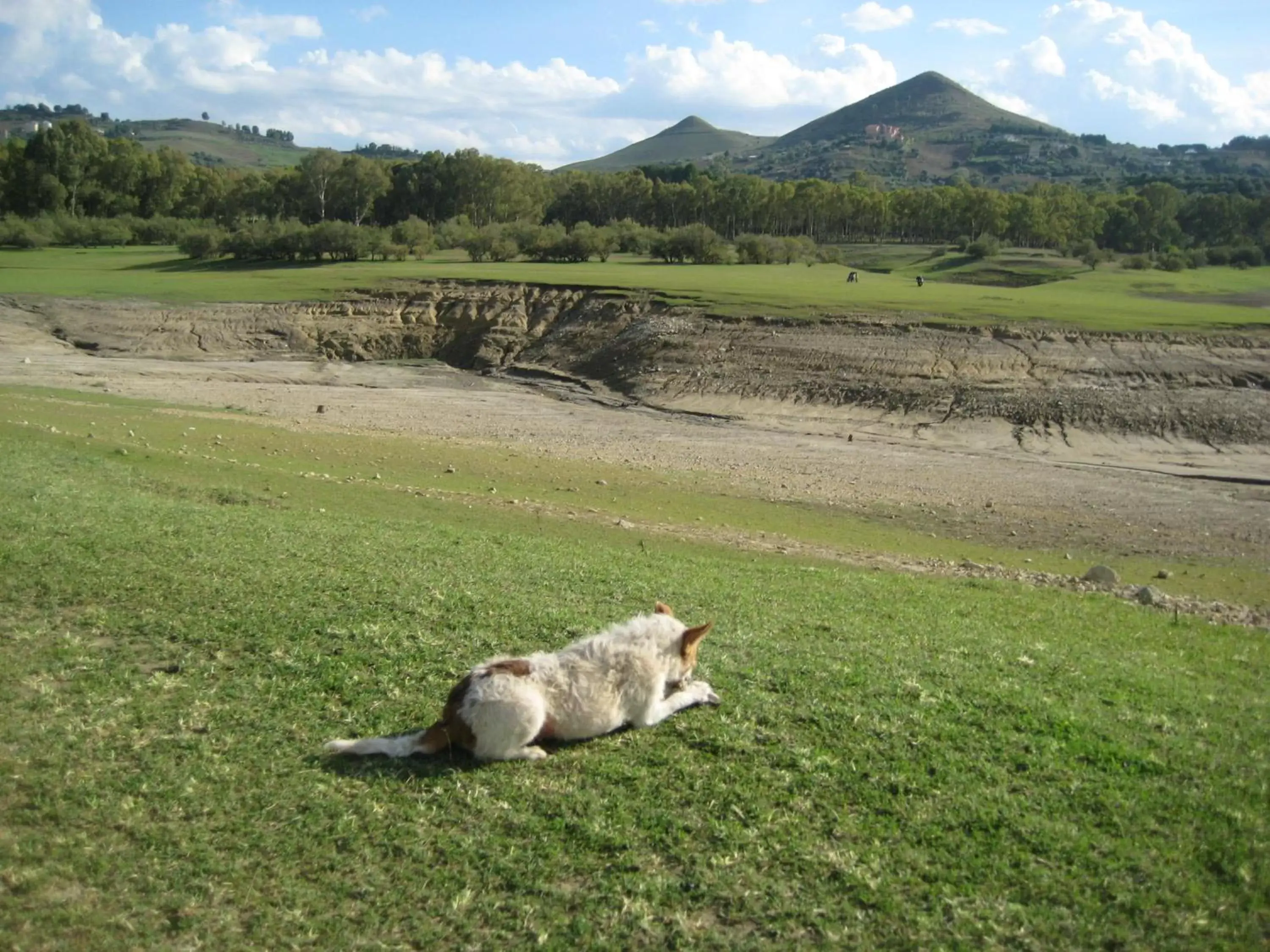 Natural landscape, Other Animals in Oasi del Lago