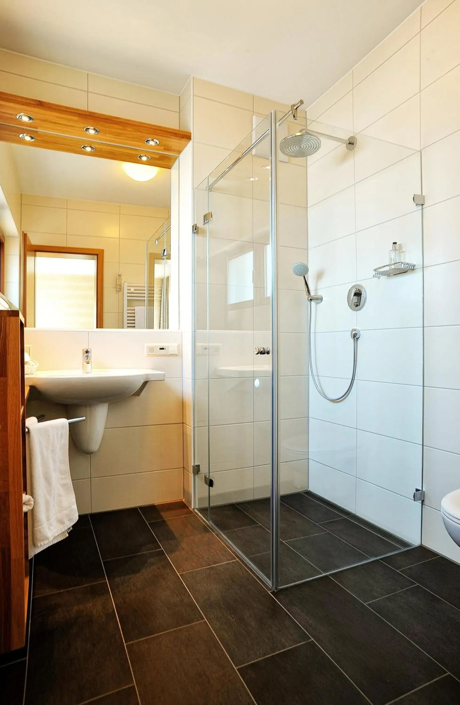 Shower, Bathroom in Gasthof Hotel Zum Hirsch***S