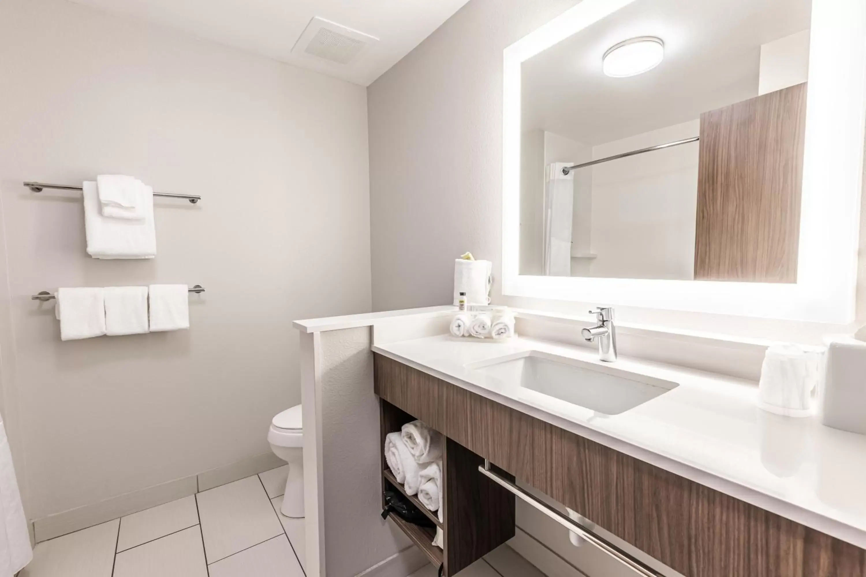Bathroom in Holiday Inn Express & Suites - Rantoul, an IHG Hotel