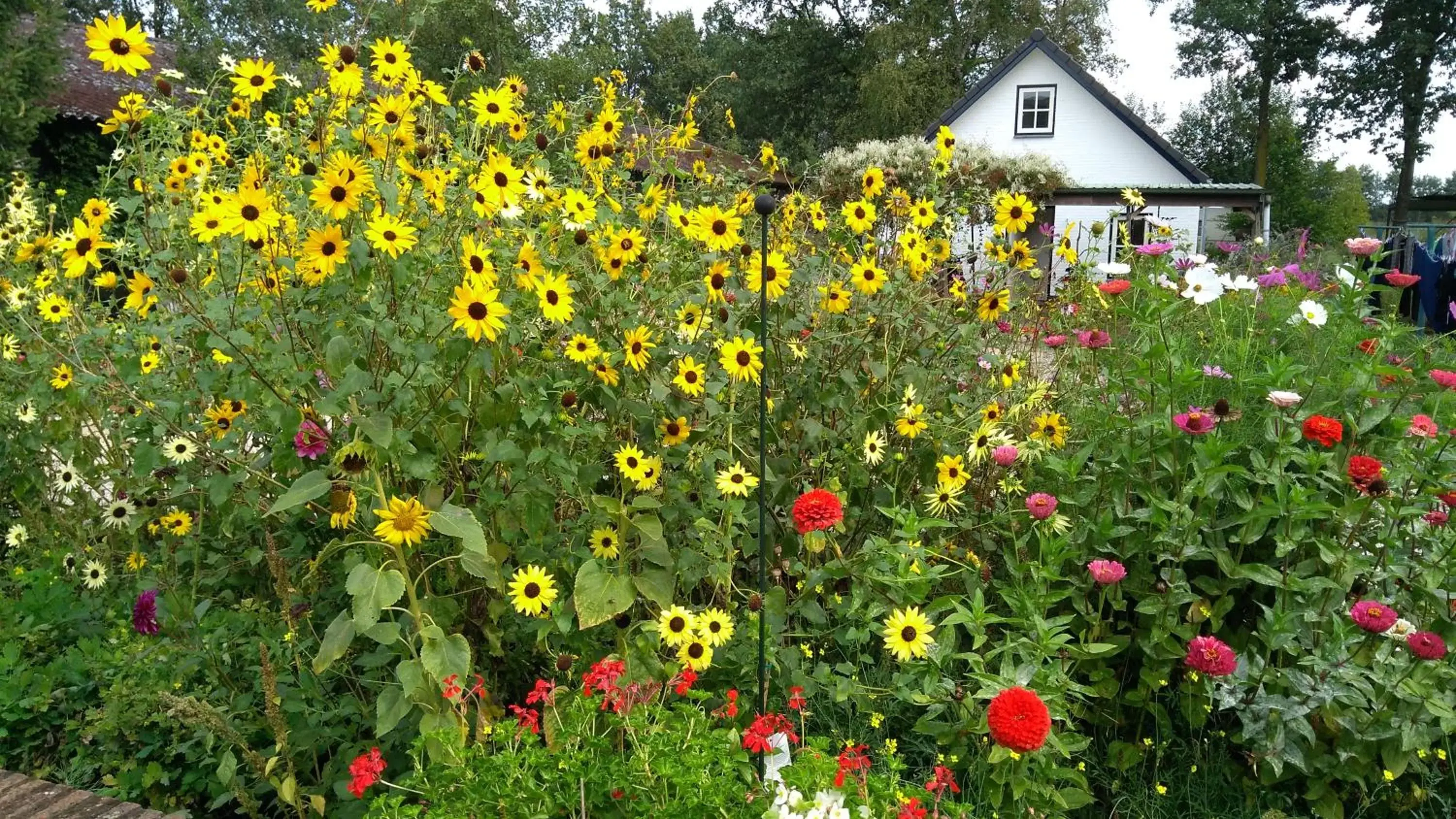 Garden in B&B Het mooie uitzicht