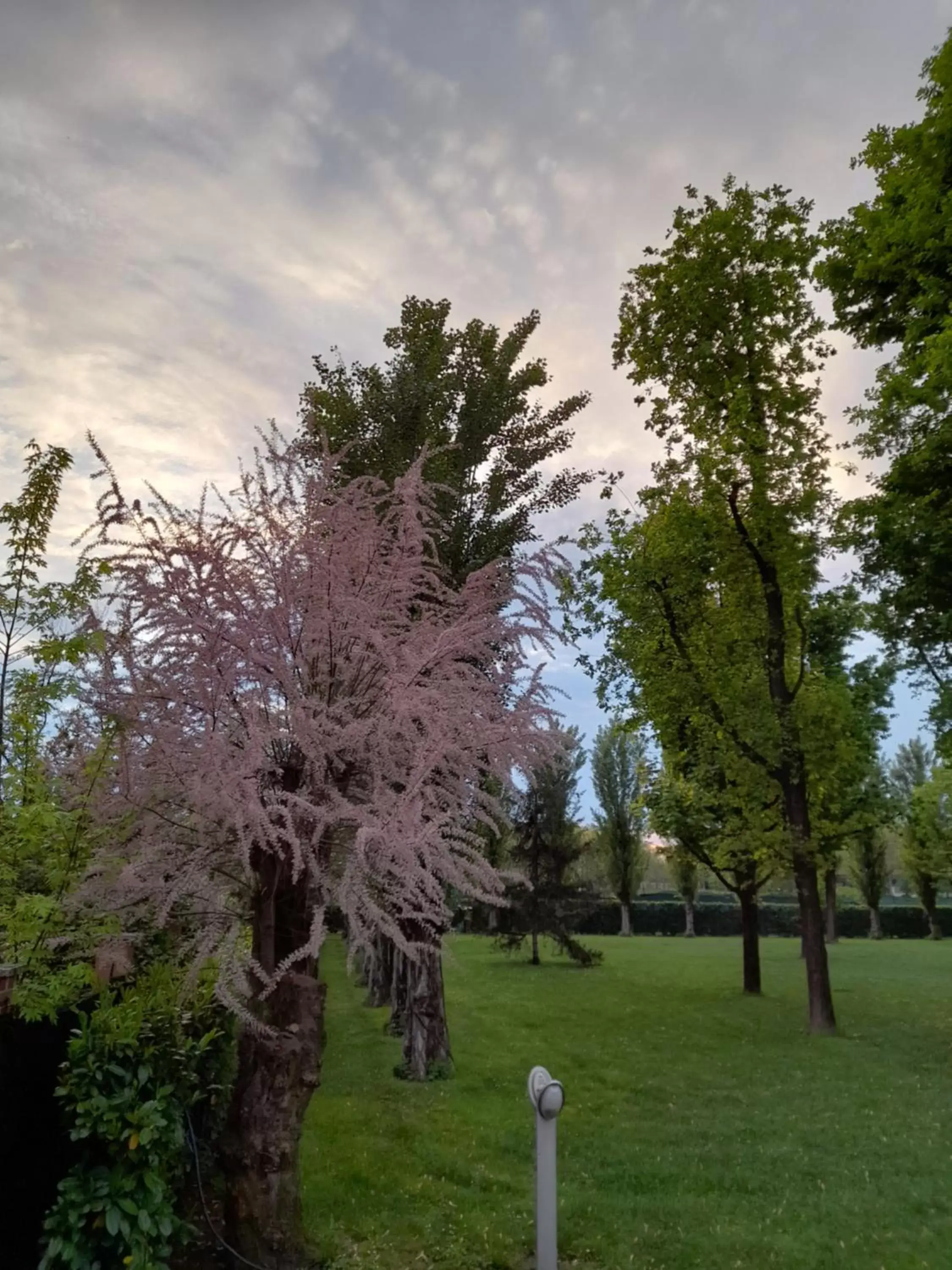 Inner courtyard view, Garden in B&B KM 198 - Room&Breakfast