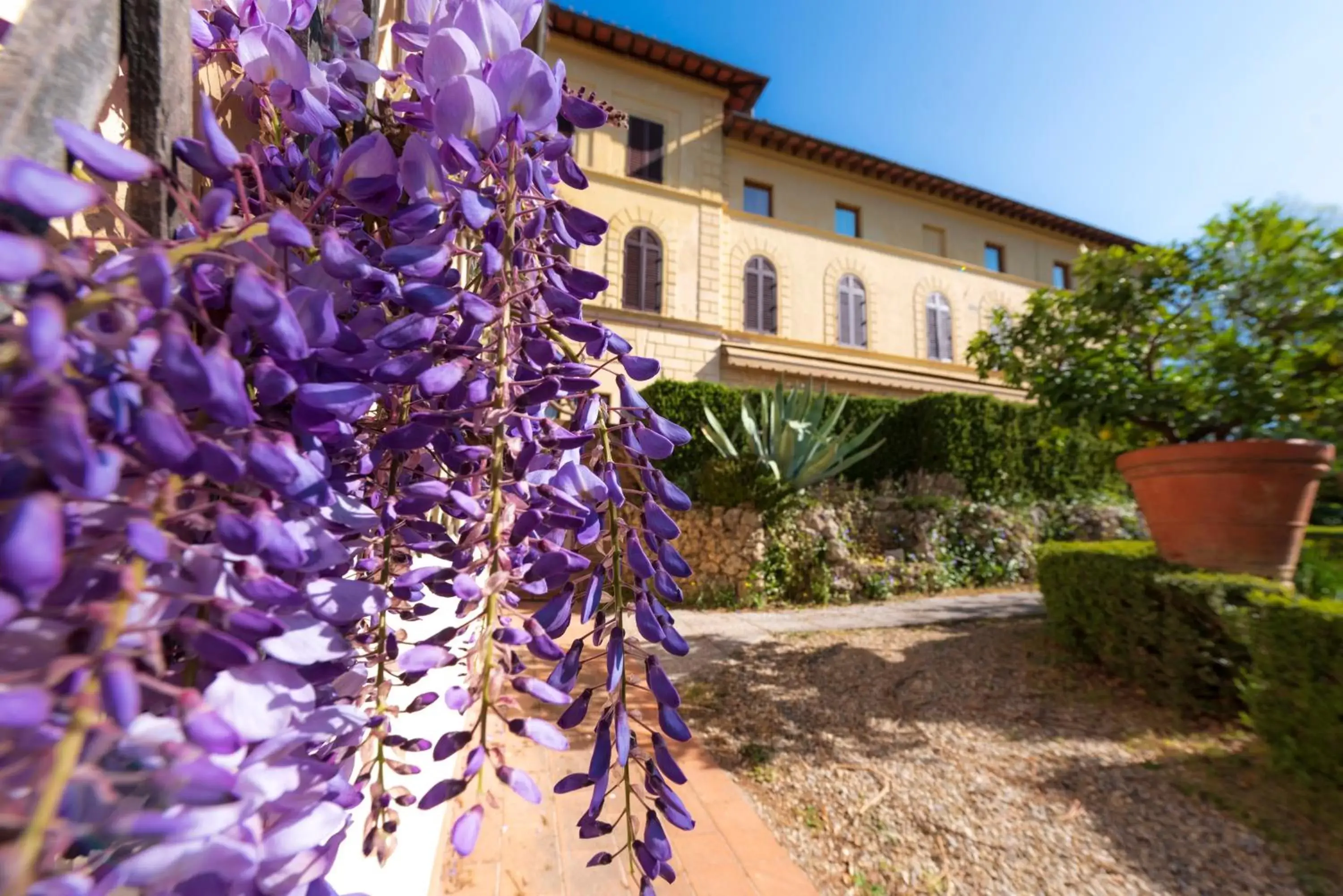 Garden, Property Building in Villa Scacciapensieri Boutique Hotel