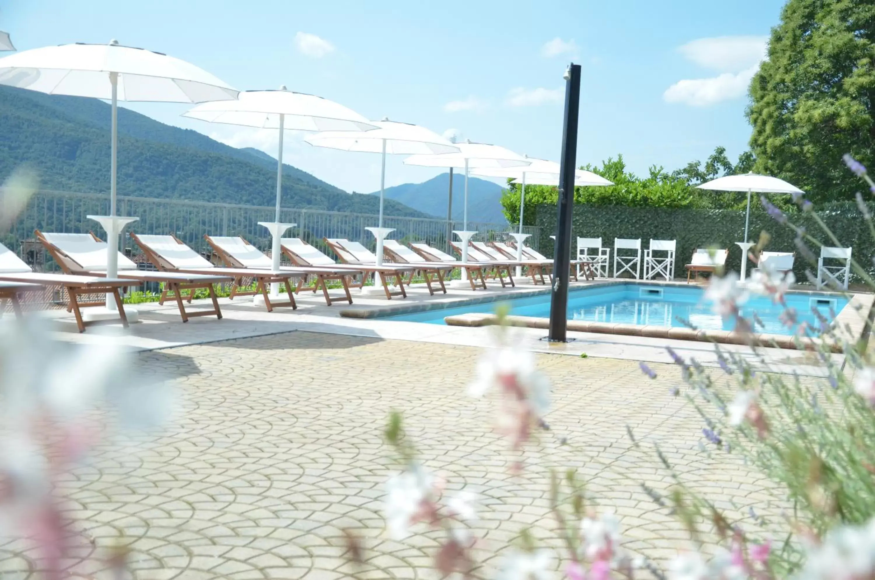 Summer, Swimming Pool in Hotel Ristorante Stampa