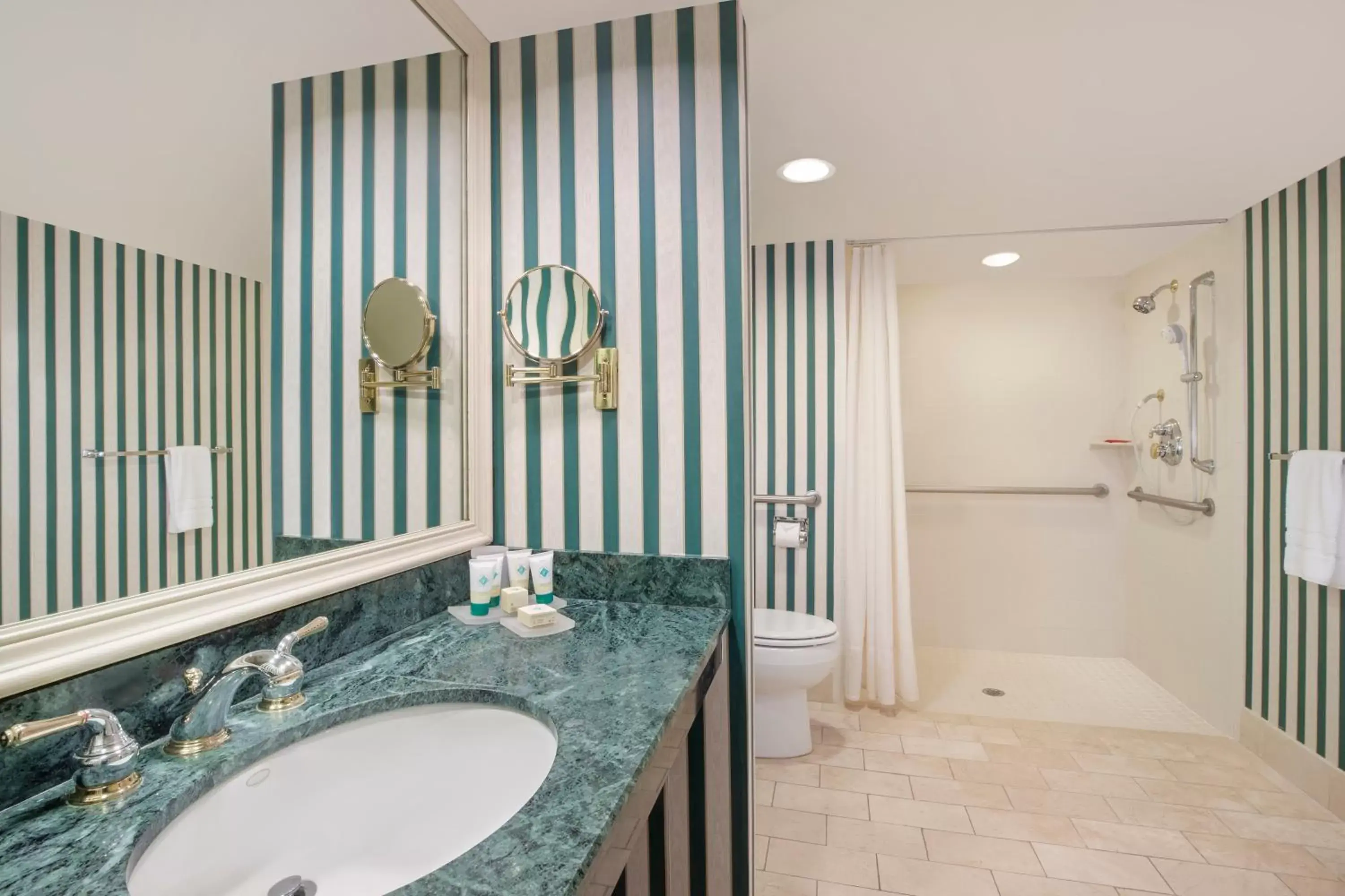 Facility for disabled guests, Bathroom in Saddlebrook Golf Resort & Spa Tampa North-Wesley Chapel