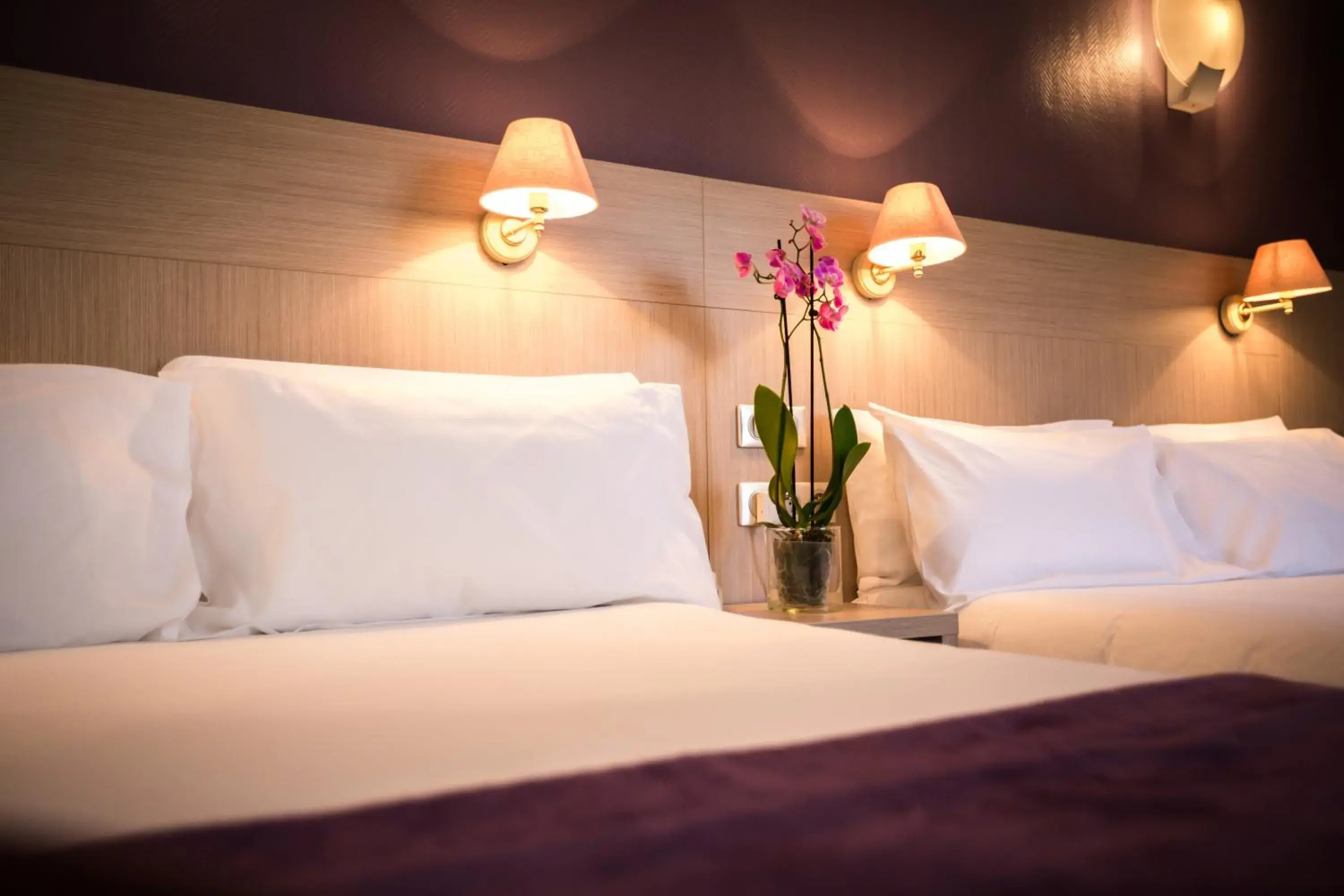 Photo of the whole room, Bed in Hôtel Christina Lourdes Photo of the whole room, Bed in Hôtel Christina Lourdes