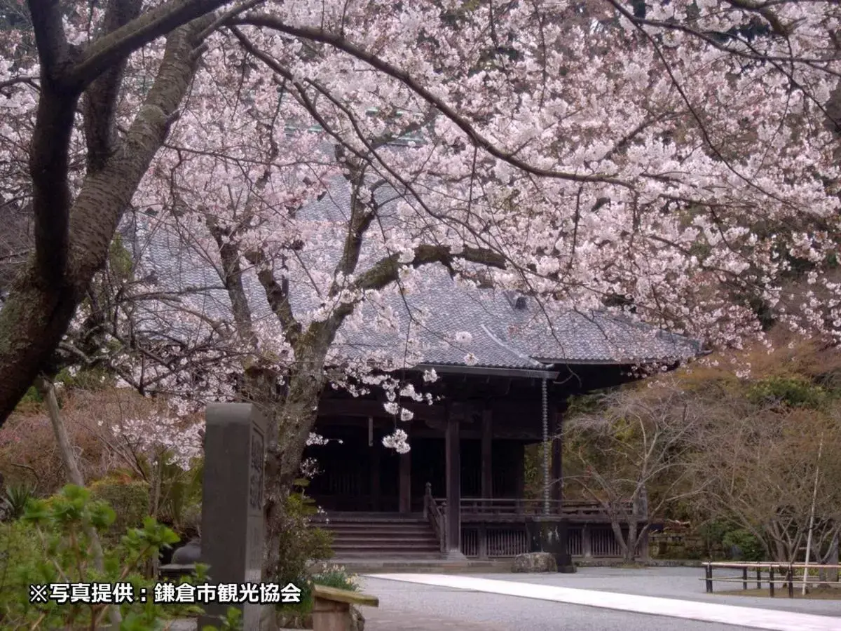 Property Building in Kamakura Prince Hotel