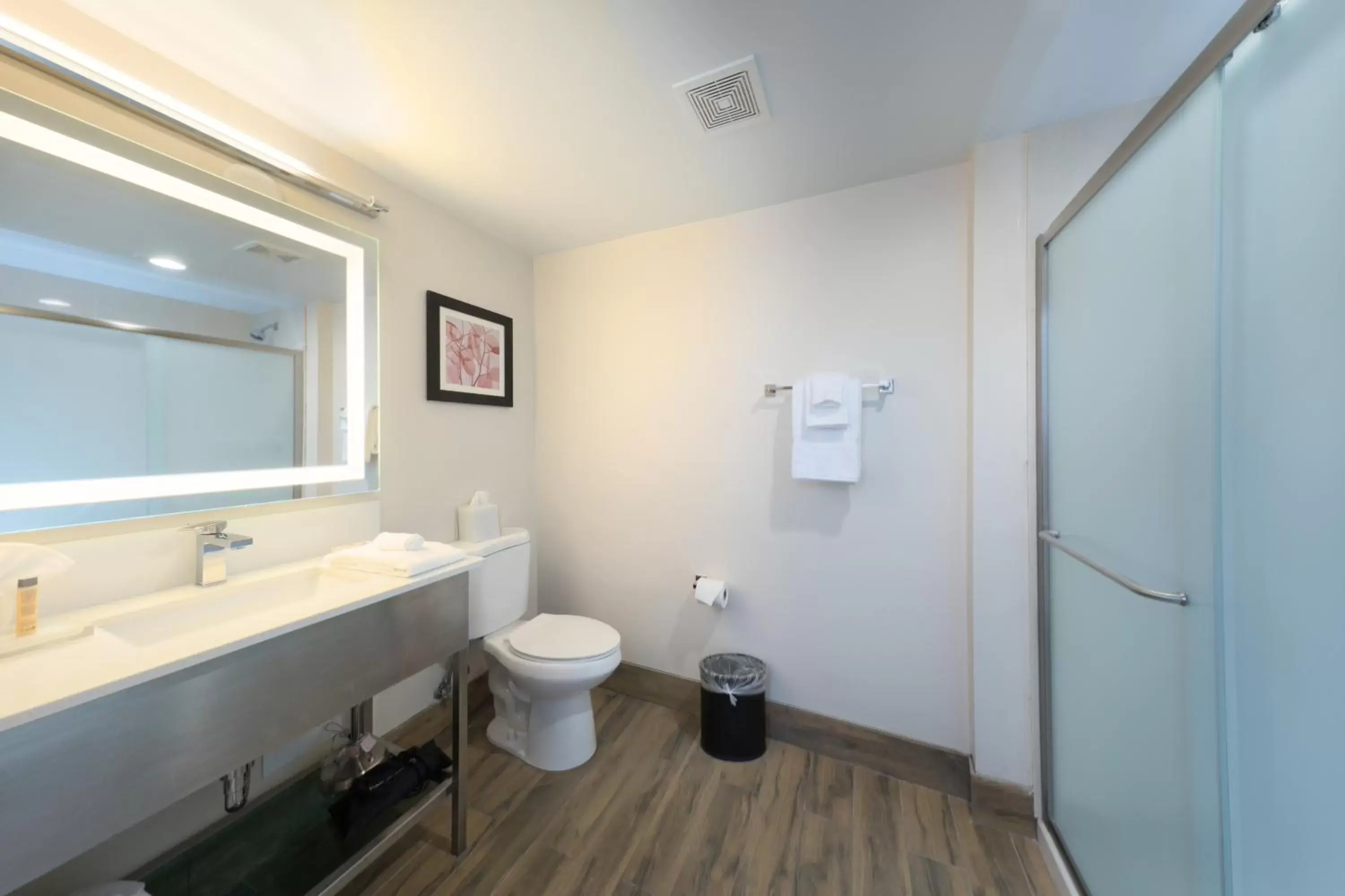 Other, Bathroom in Brookfield- Milwaukee Hotel